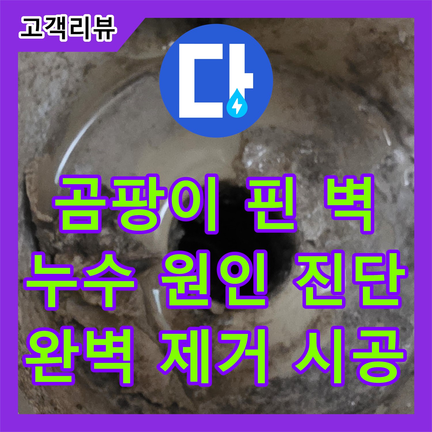 포천시, 누수탐지전문업체, 곰팡이 핀 벽, 누수 원인 진단 및 완벽 제거