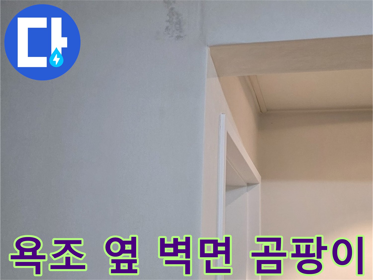 포천시 일동면 기산리 아파트 욕조 옆 벽면 곰팡이 - 건강 위협 및 제거 필요