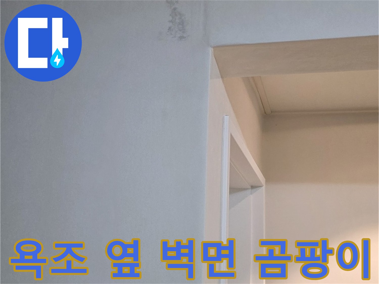 포천시 일동면 기산리 아파트 욕조 옆 벽면 곰팡이 - 건강 위협 및 확실한 해결