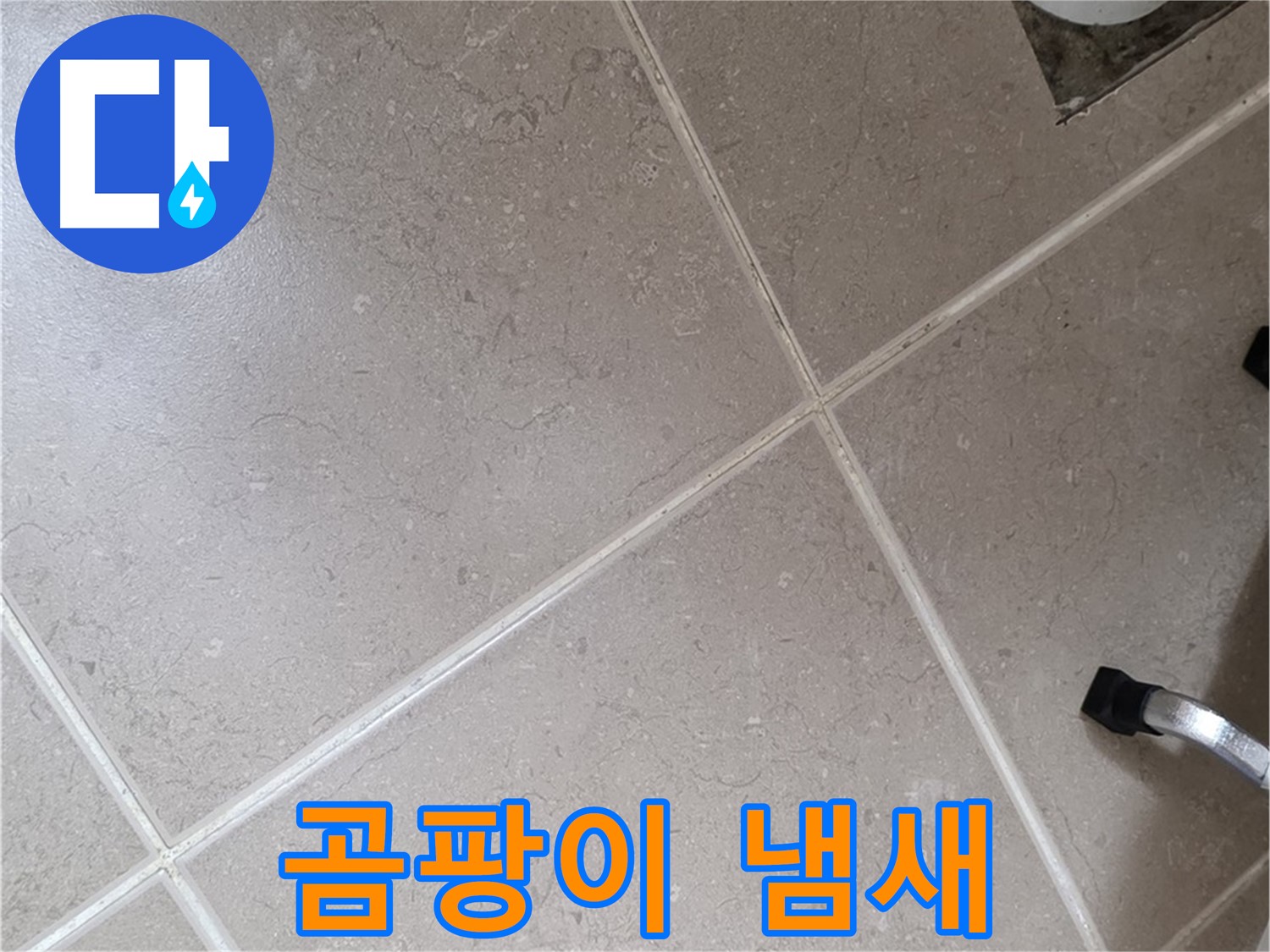 포천시 일동면 기산리 욕실 배수구 주변 곰팡이 냄새 확인 - 습한 환경이 지속될 때 발생합니다.