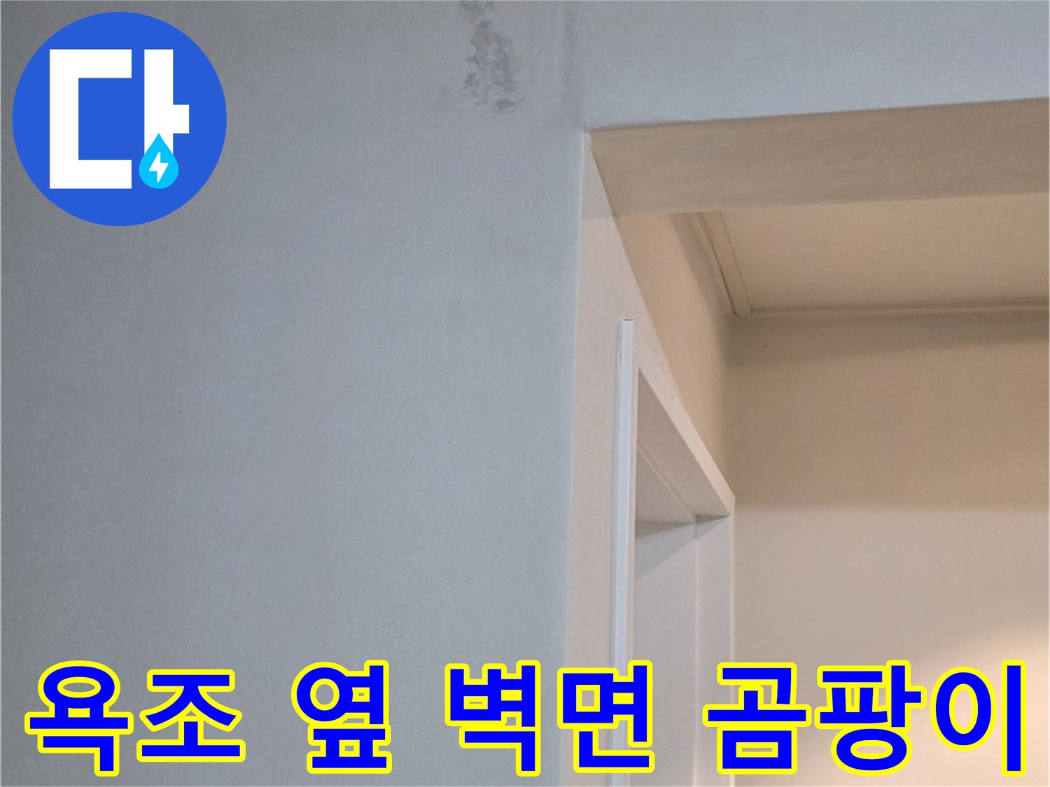 포천시 일동면 기산베스트빌 아파트 욕조 옆 벽면 곰팡이 - 곰팡이 완전 박멸