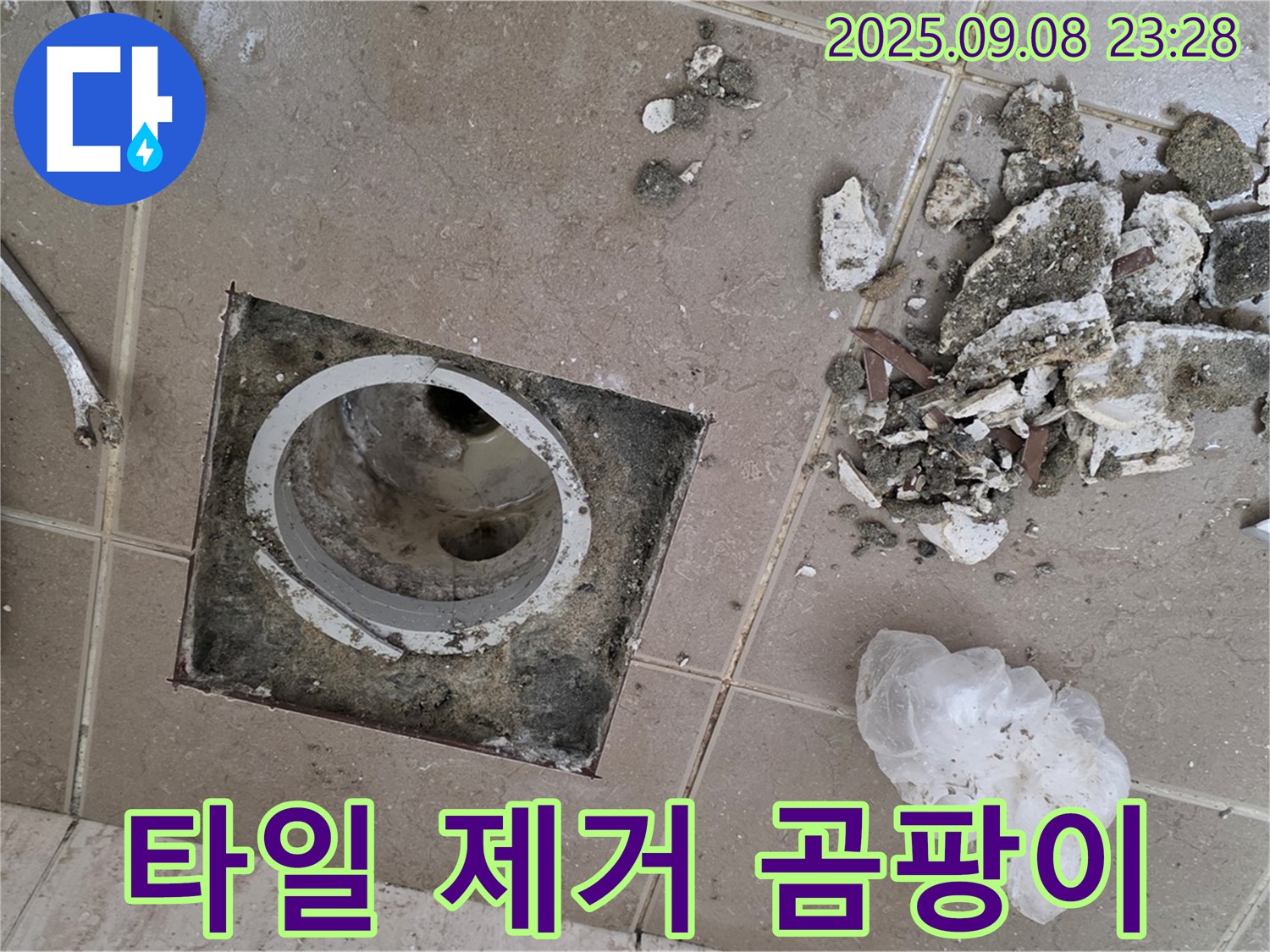 포천시 일동면 누수 - 운악청계로 일동기산베스트빌, 욕실 배수구 주변 타일 제거 후 곰팡이 발생 원인 분석 및 제거 계획 수립