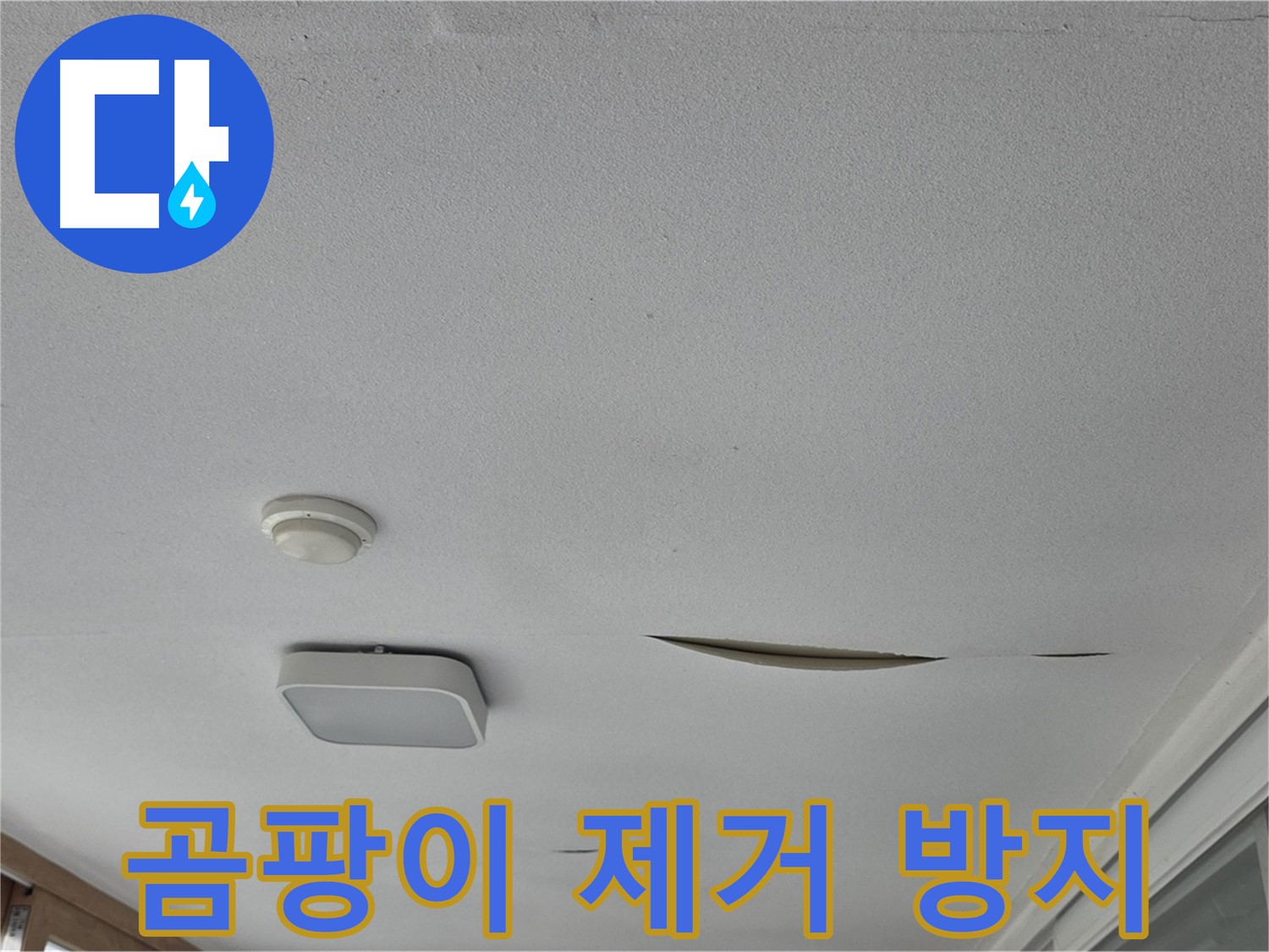 포천시 일동면 아파트 천장 누수 - 석고보드 곰팡이 제거 후 재발 방지 시공