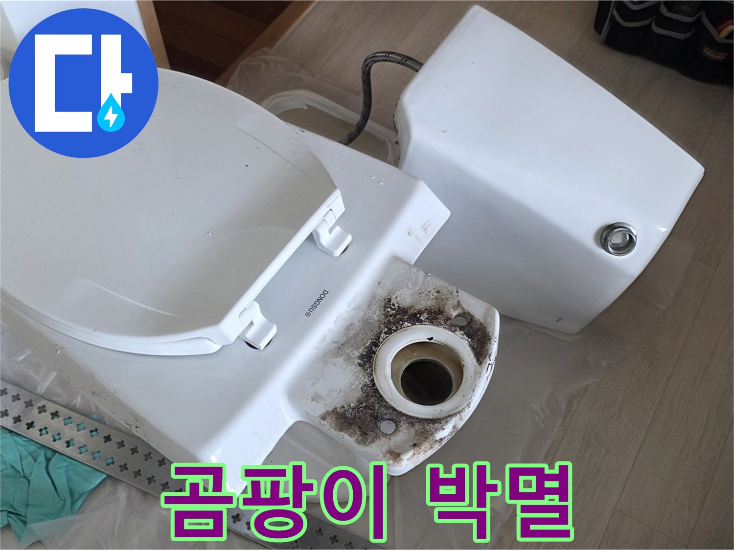 포천시 일동면 운악청계로 - 변기 찌든 때와 곰팡이 박멸 작전 개시!