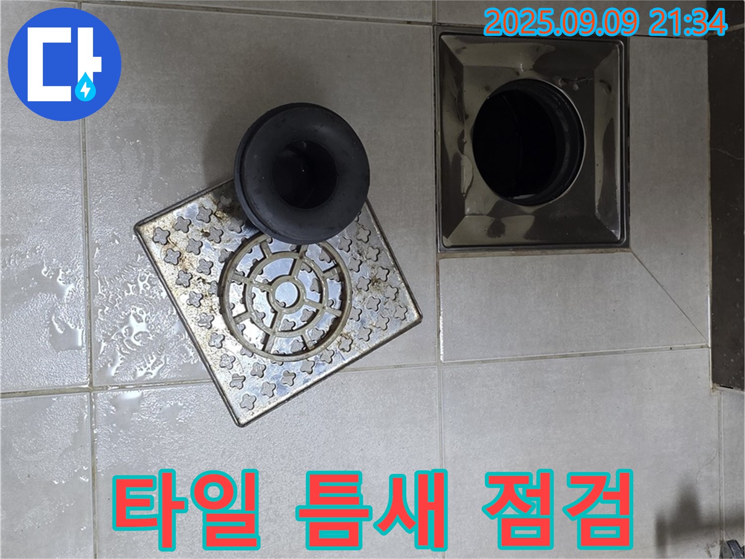 고암동 신도브래뉴 아파트 욕실 배수구 주변 타일 틈새 꼼꼼하게 점검 및 보수 준비 - 꼼꼼하게 점검하고 틈새를 메워 누수를 예방합니다.