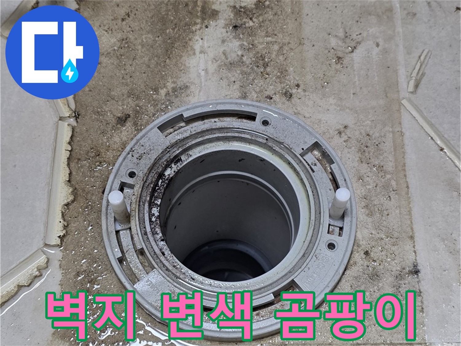 변기 뒤 벽면 벽지 - 변색과 곰팡이가 심각하게 발생했습니다.