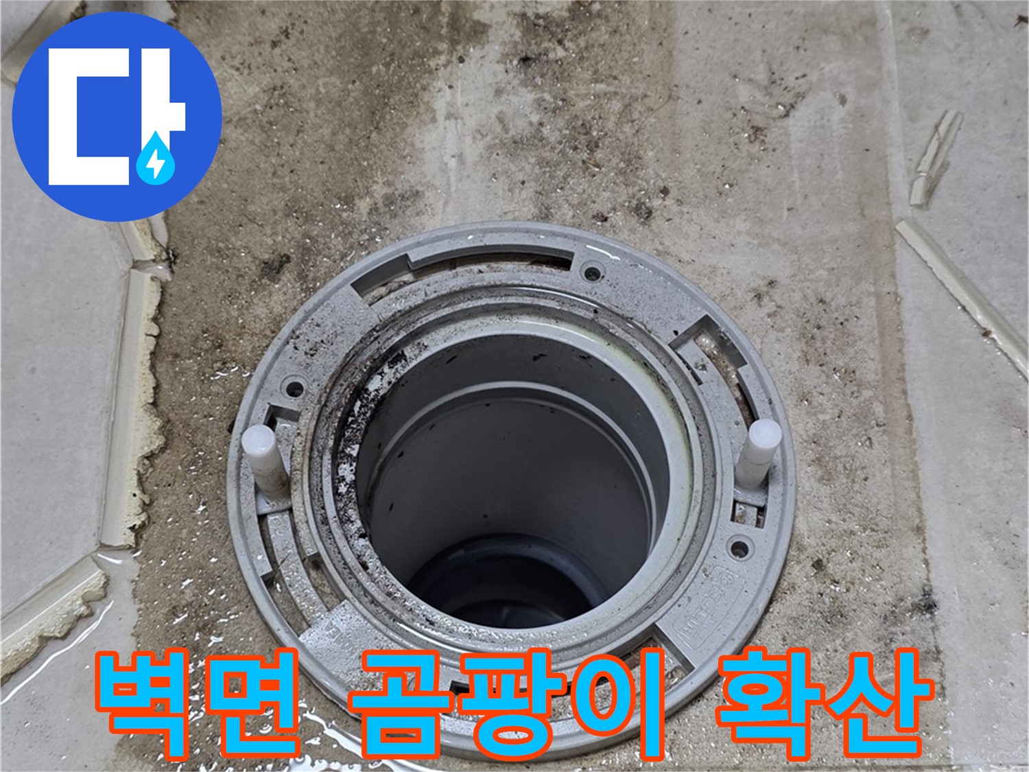 변기 뒤 벽면 - 벽지 손상과 함께 곰팡이가 심하게 확산되었습니다.