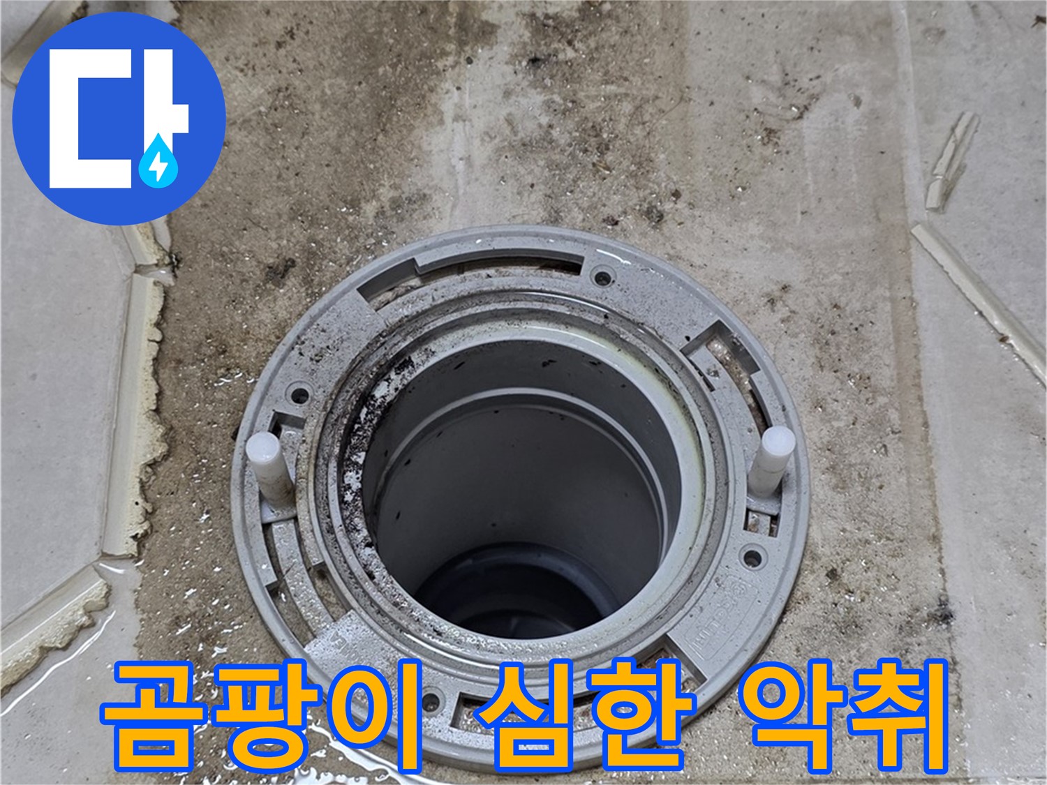 변기 플랜지 주변 - 곰팡이가 심하게 발생하여 악취가 확산되고 있습니다.