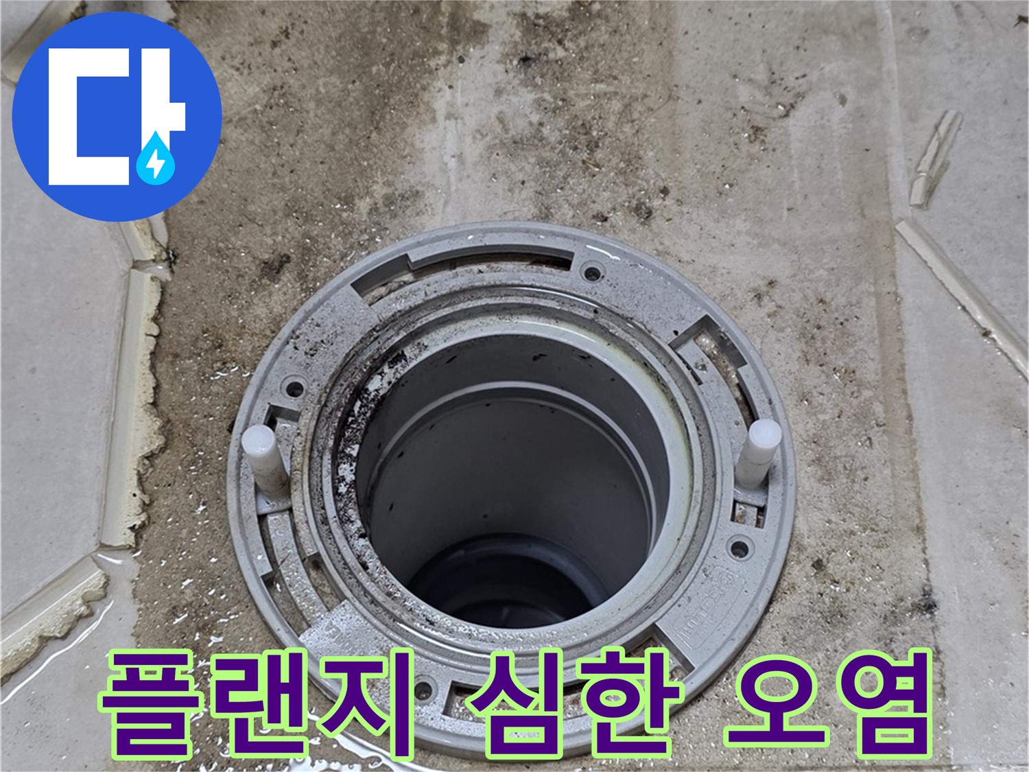변기 플랜지 주변 심각한 오염 - 누수 장기화로 인한 구조적 손상이 우려됩니다.