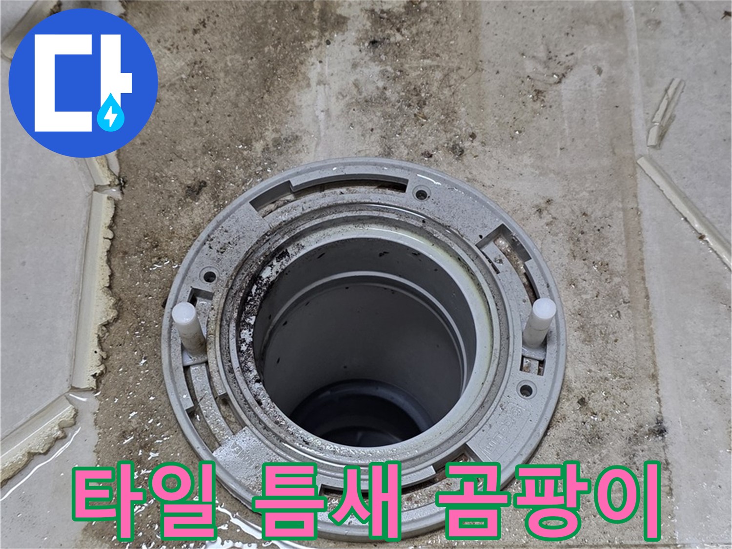 변기 플랜지 주변 타일 틈새 - 곰팡이가 매우 심하게 발생했습니다.