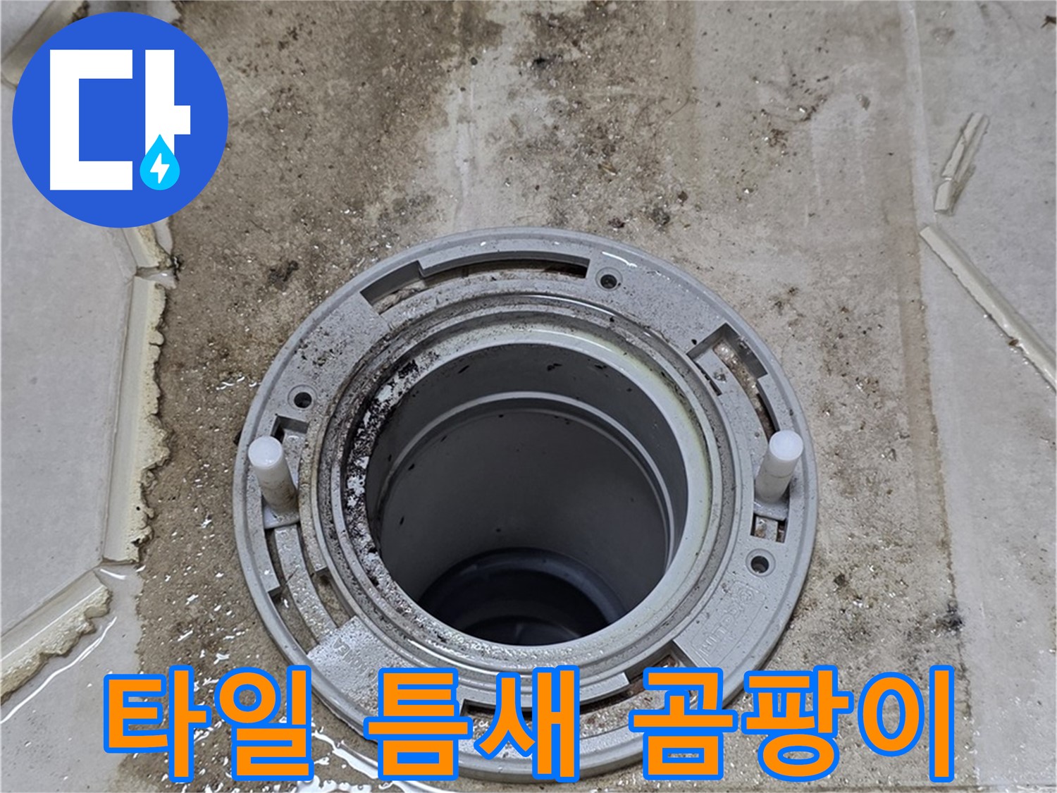 변기 플랜지 주변 타일 틈새 - 곰팡이가 매우 심하게 발생했습니다.