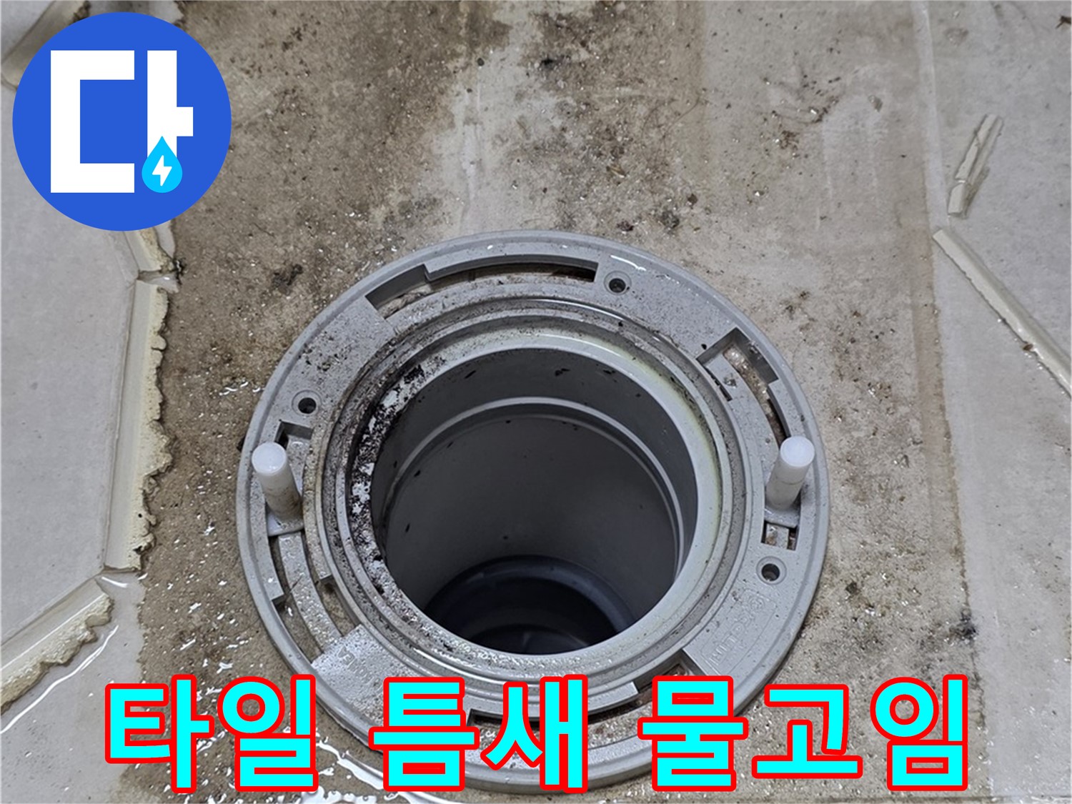 변기 플랜지 주변 타일 틈새 - 오염과 함께 물이 고여 있습니다.