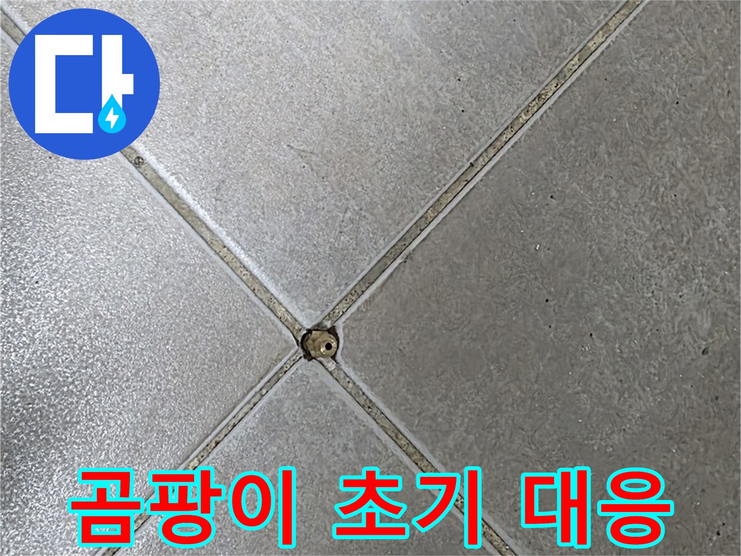 양주 옥정 율정마을 13단지 아파트 타일 틈새 곰팡이 - 누수 초기 대응 과정입니다.