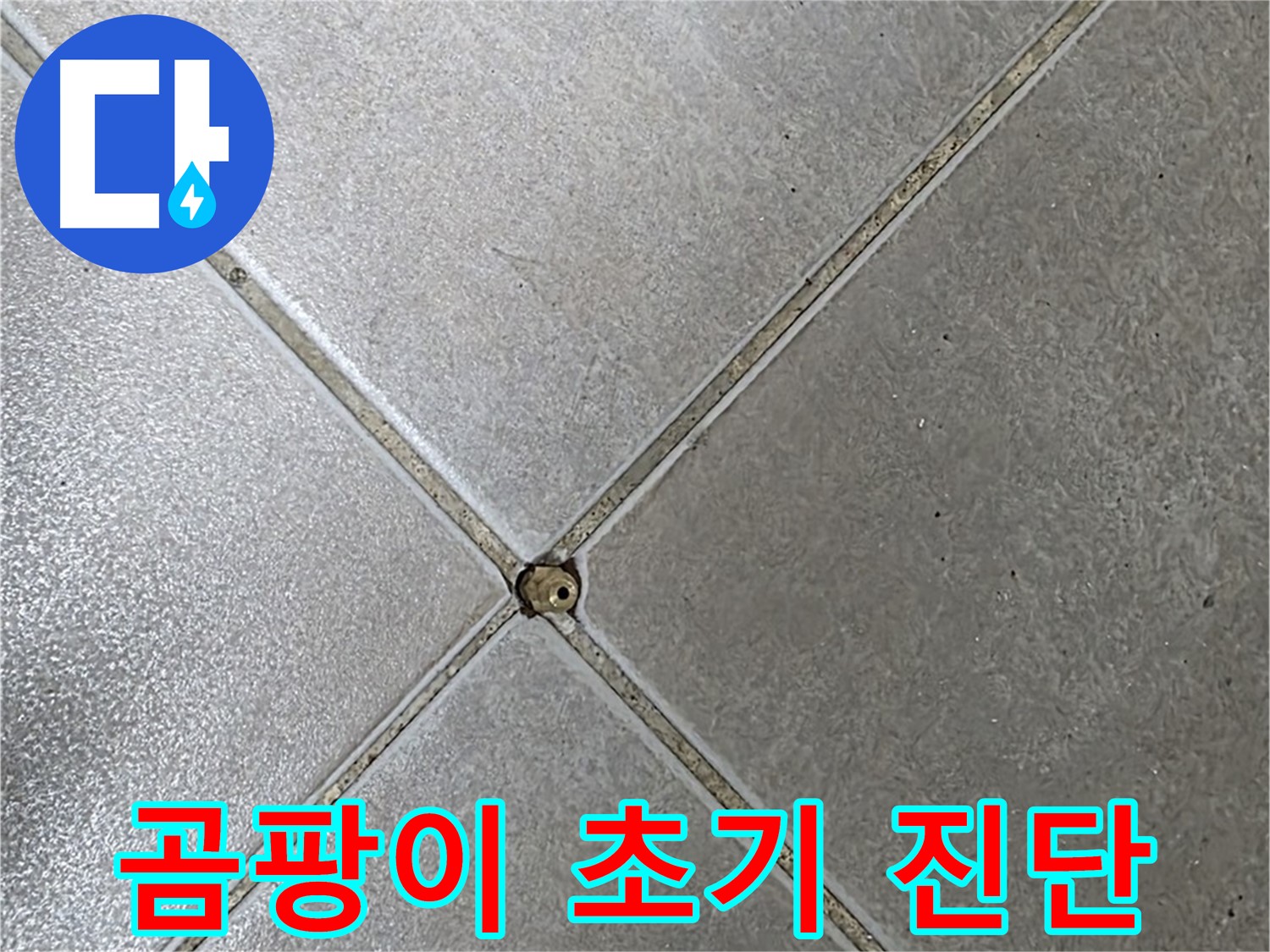 양주 옥정 율정마을 13단지 아파트 타일 틈새 곰팡이 - 초기 진단으로 누수 걱정 이제 끝!