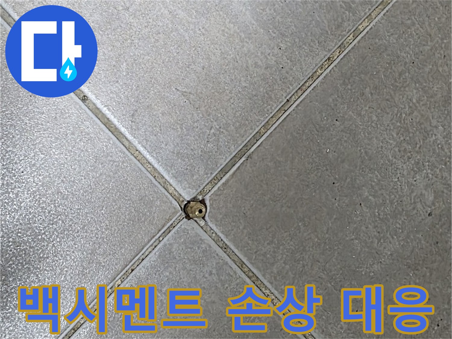 양주 옥정 율정마을 13단지 아파트 타일 틈새 백시멘트 손상 - 누수 초기 대응 과정입니다.