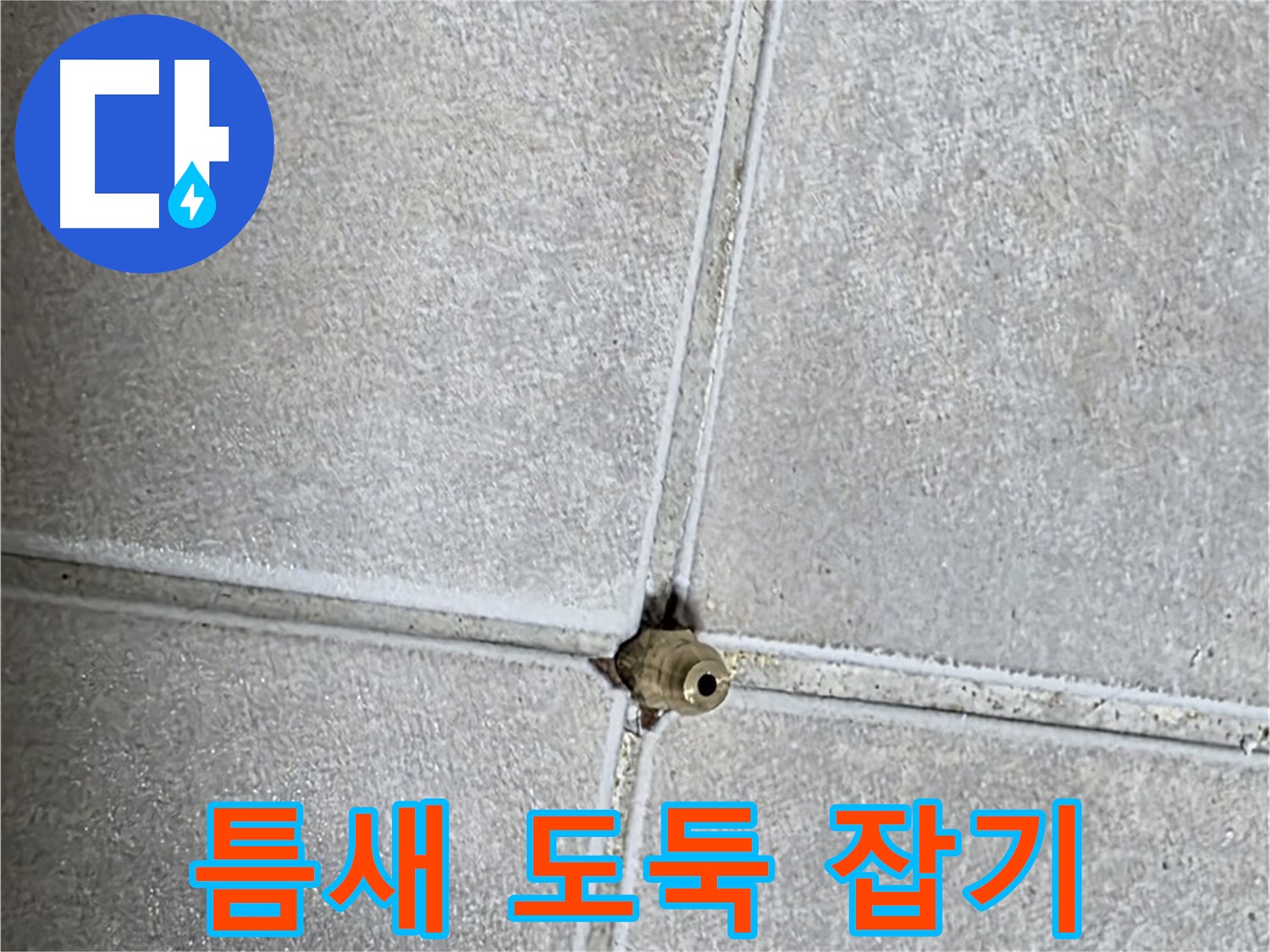양주 옥정 율정마을 아파트 누수 - 누수, 타일 틈새에 숨어있는 시간 도둑을 잡아 소중한 시간을 되찾으세요!