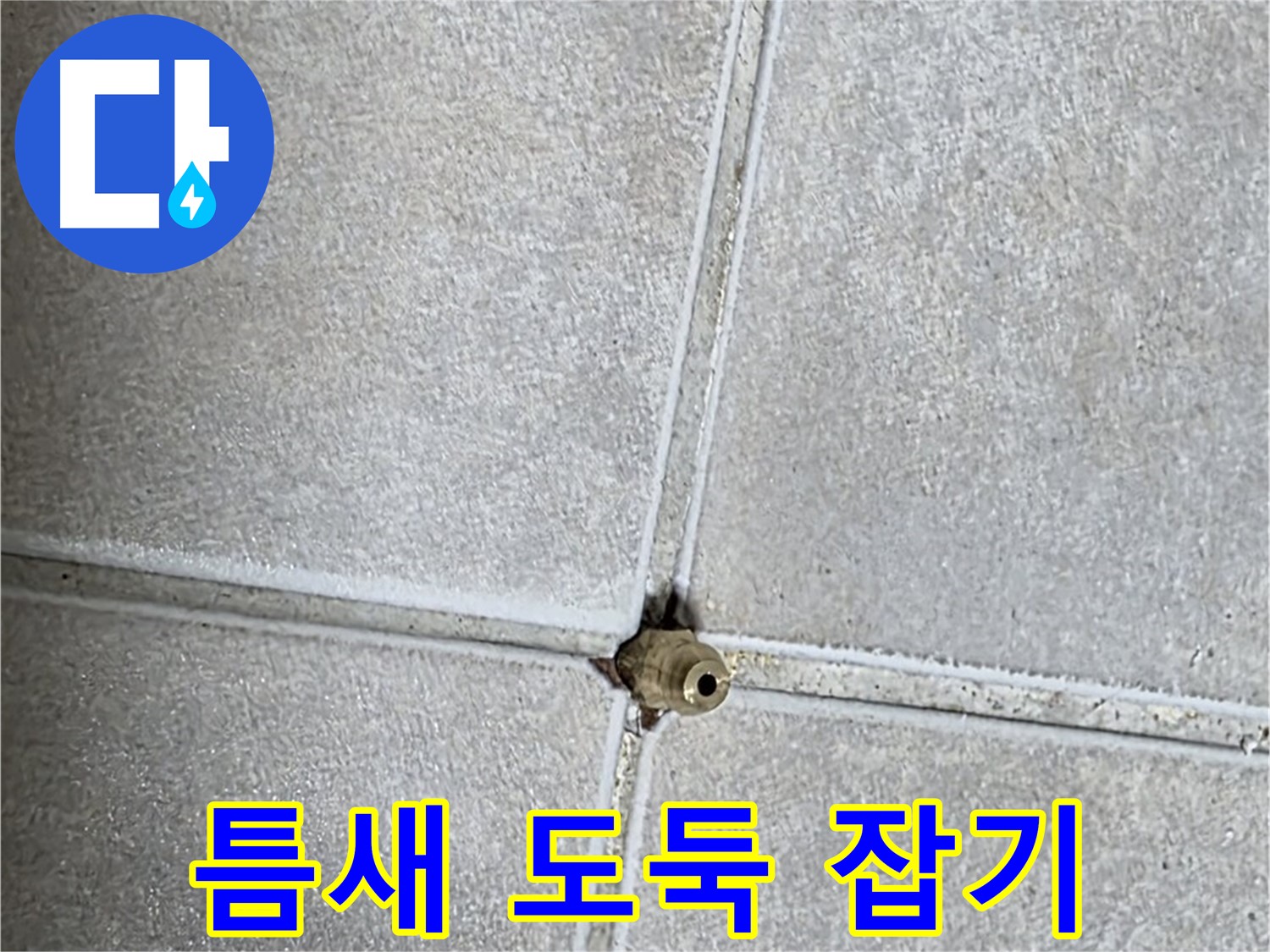 양주 옥정 율정마을 아파트 누수 - 누수, 타일 틈새에 숨어있는 시간 도둑을 잡아 소중한 시간을 되찾으세요!