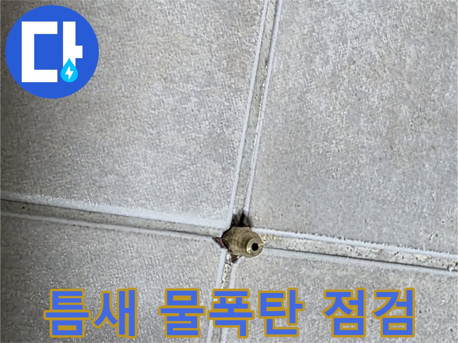양주 옥정 율정마을 아파트 누수 - 누수, 타일 틈새에 숨은 물폭탄! 지금 바로 긴급 점검을 받아보세요!