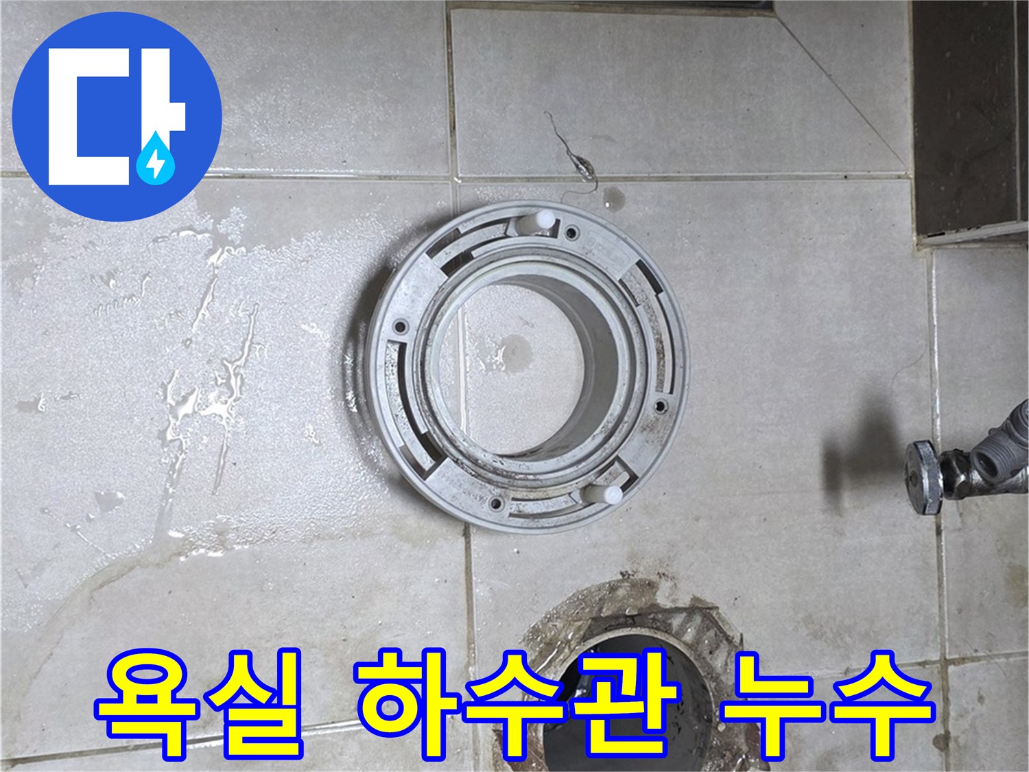 양주 옥정 율정마을 아파트 욕실 하수관 누수 지점 - 누수 전문가의 정확한 진단