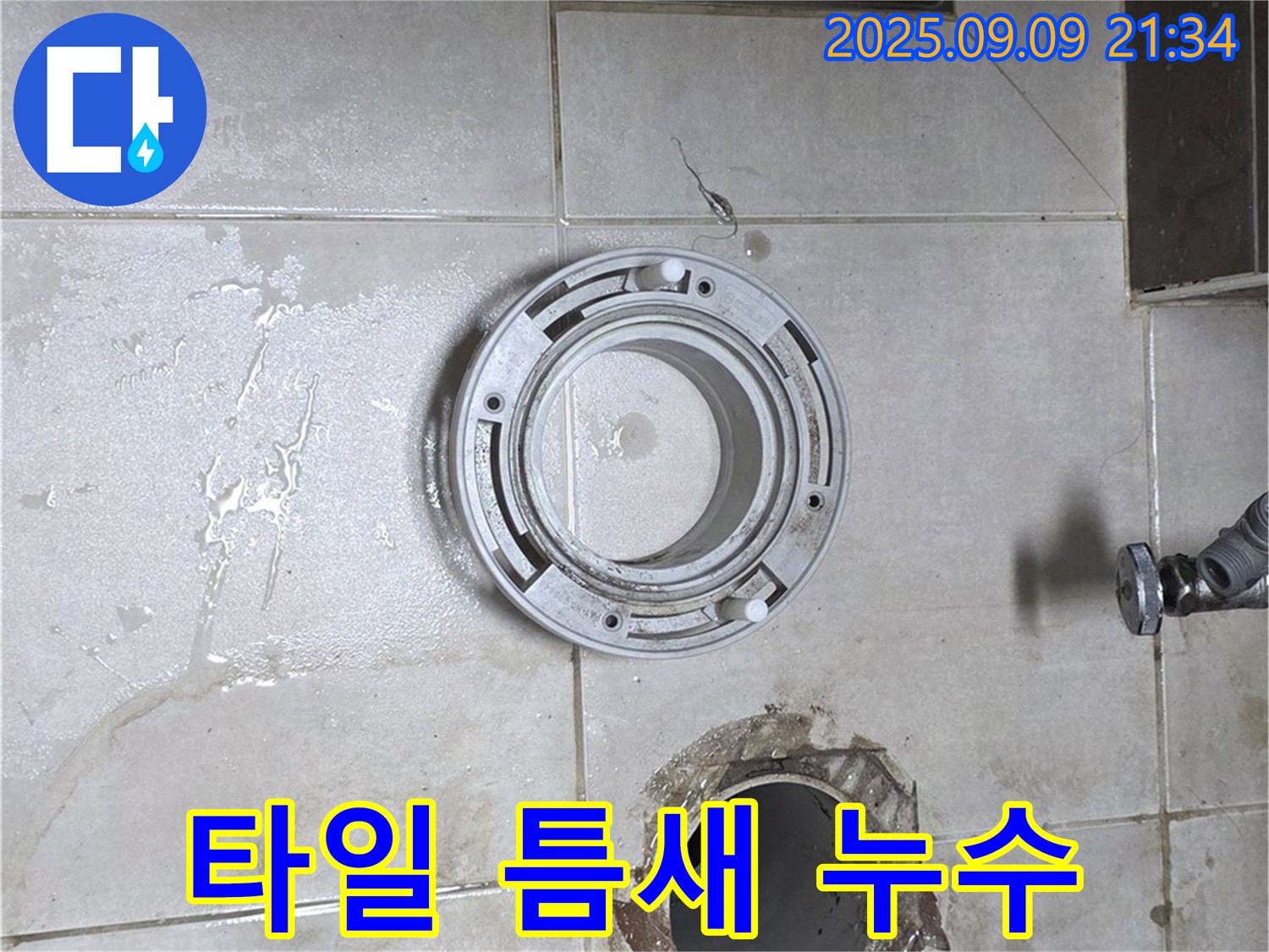 양주 옥정 율정마을13단지 아파트 욕실 배수구 주변 타일 틈새 누수 - 꼼꼼한 보수 작업