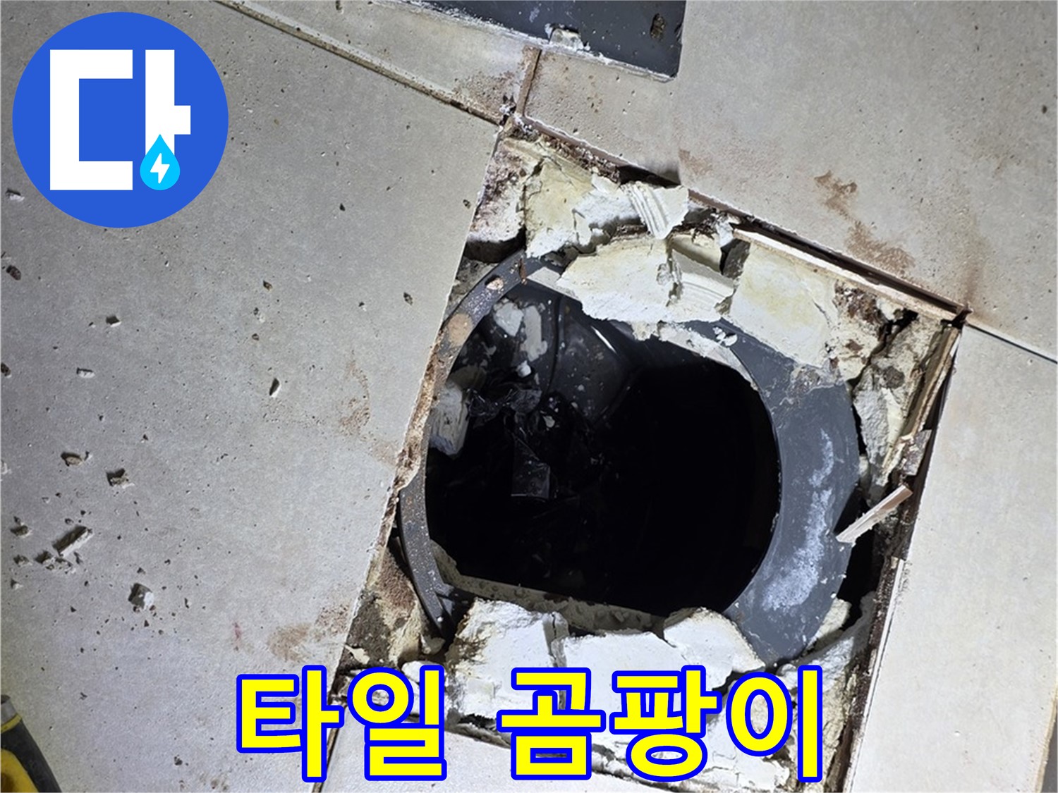 양주 옥정동 욕실 누수 - 율정마을13단지 배수구 주변 깨진 타일 조각과 곰팡이의 콜라보