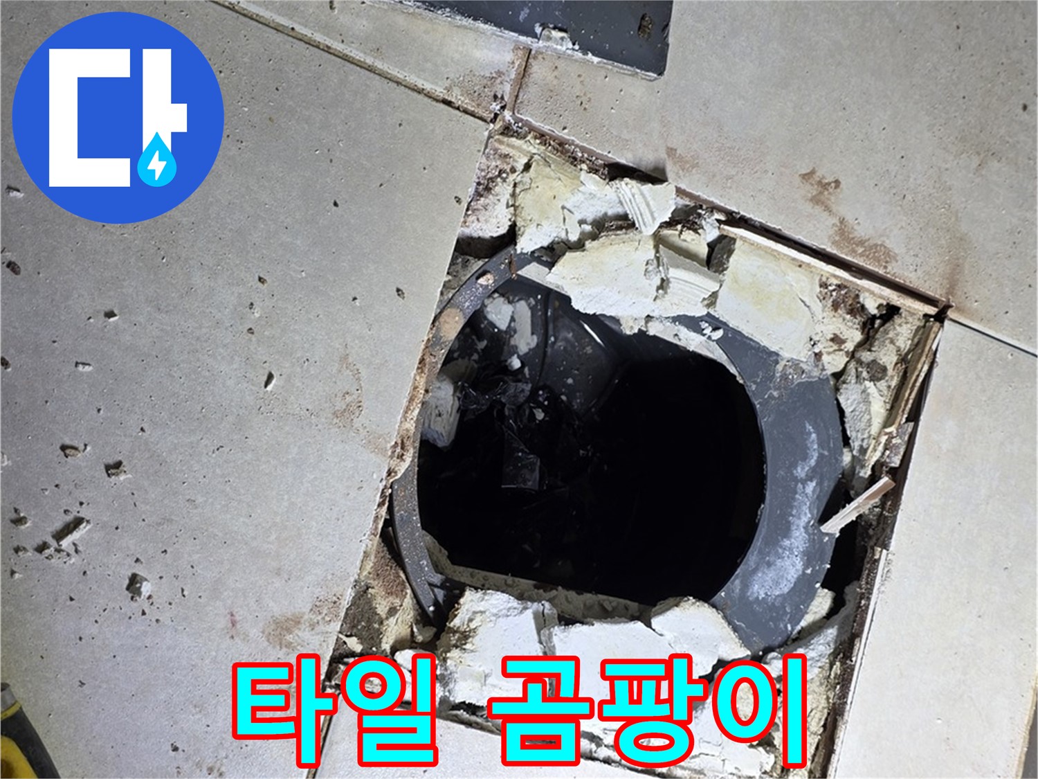 양주 옥정동 욕실 누수 - 율정마을13단지 배수구 주변 깨진 타일 조각과 곰팡이의 향연