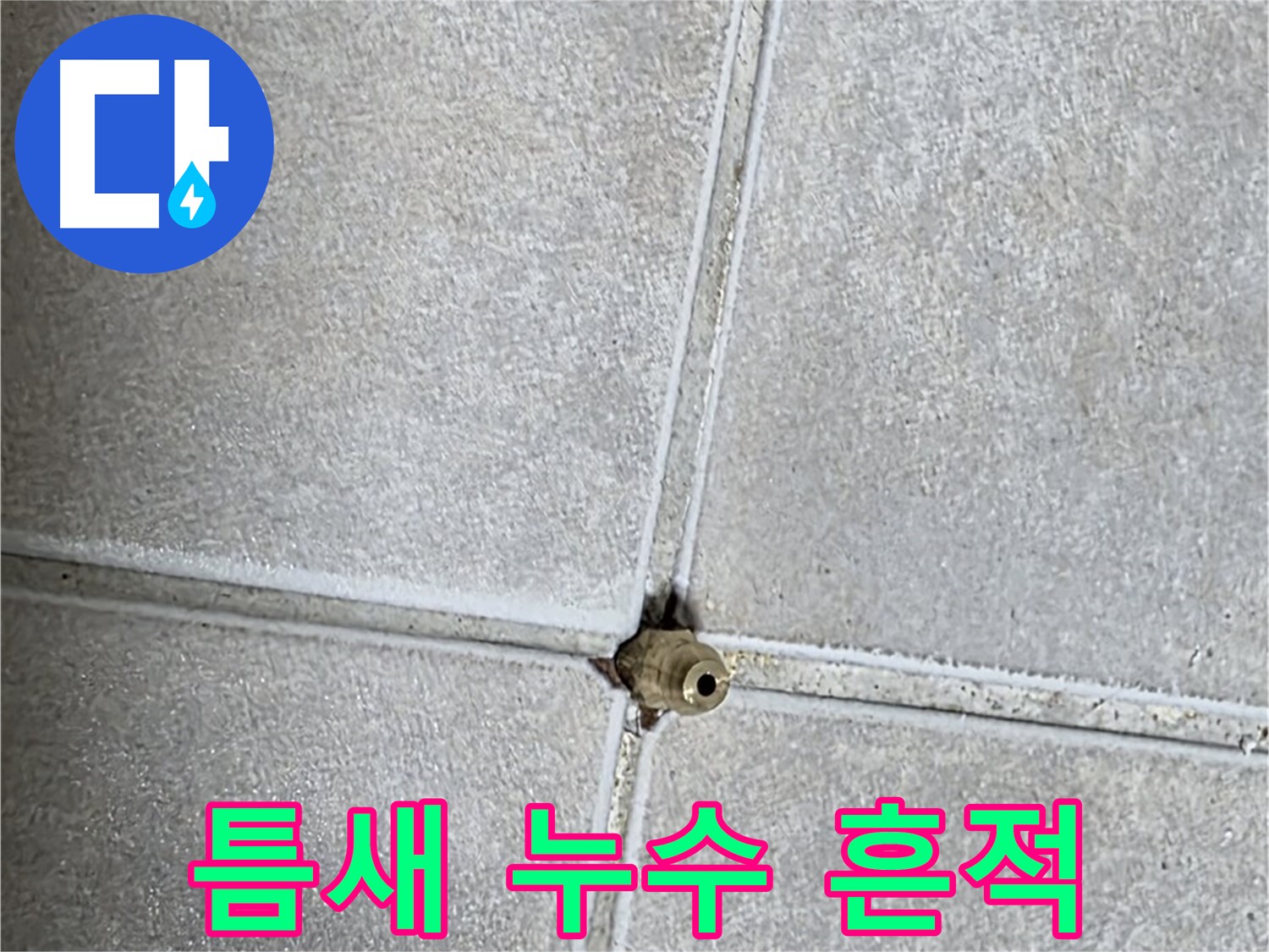 양주 옥정동 율정마을 13단지 아파트 누수 - 타일 틈새에서 발견된 누수 흔적을 보여줍니다.