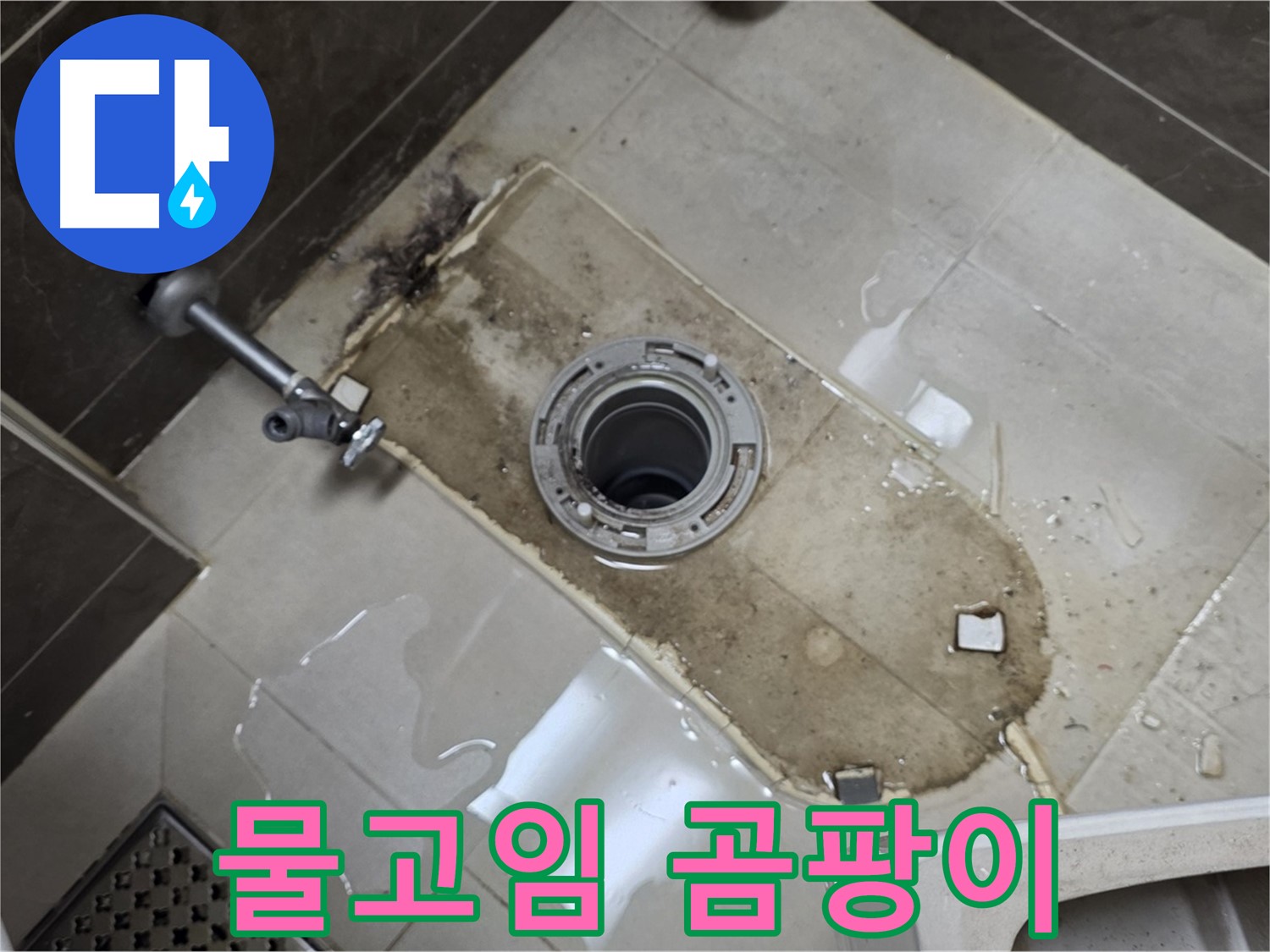 양주 옥정동 율정마을 아파트 변기 누수 - 철거 후 바닥 물고임 및 곰팡이 발생