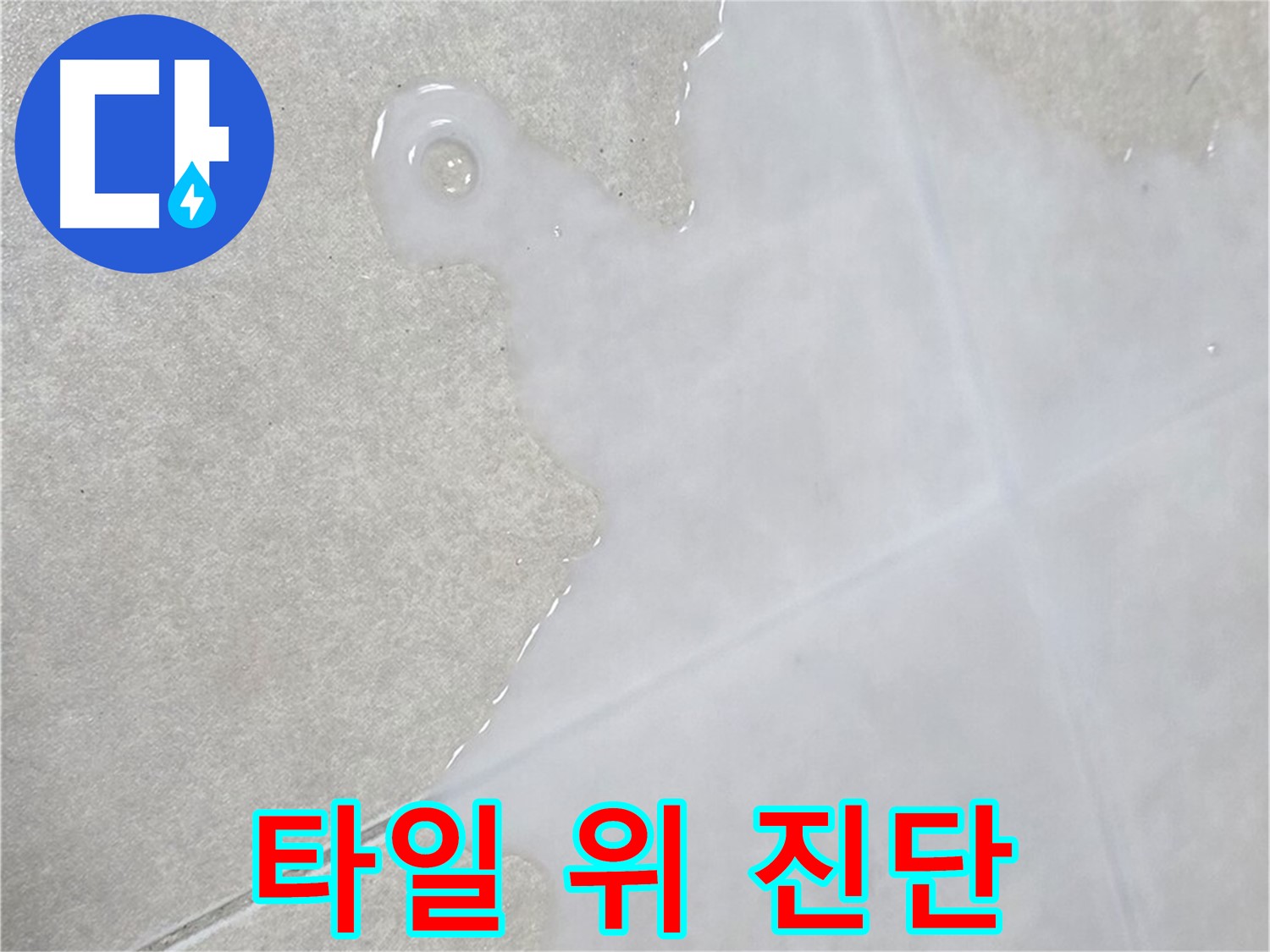 양주 옥정동 율정마을 아파트 타일 위 물 - 정확한 진단 및 맞춤 해결책 제시