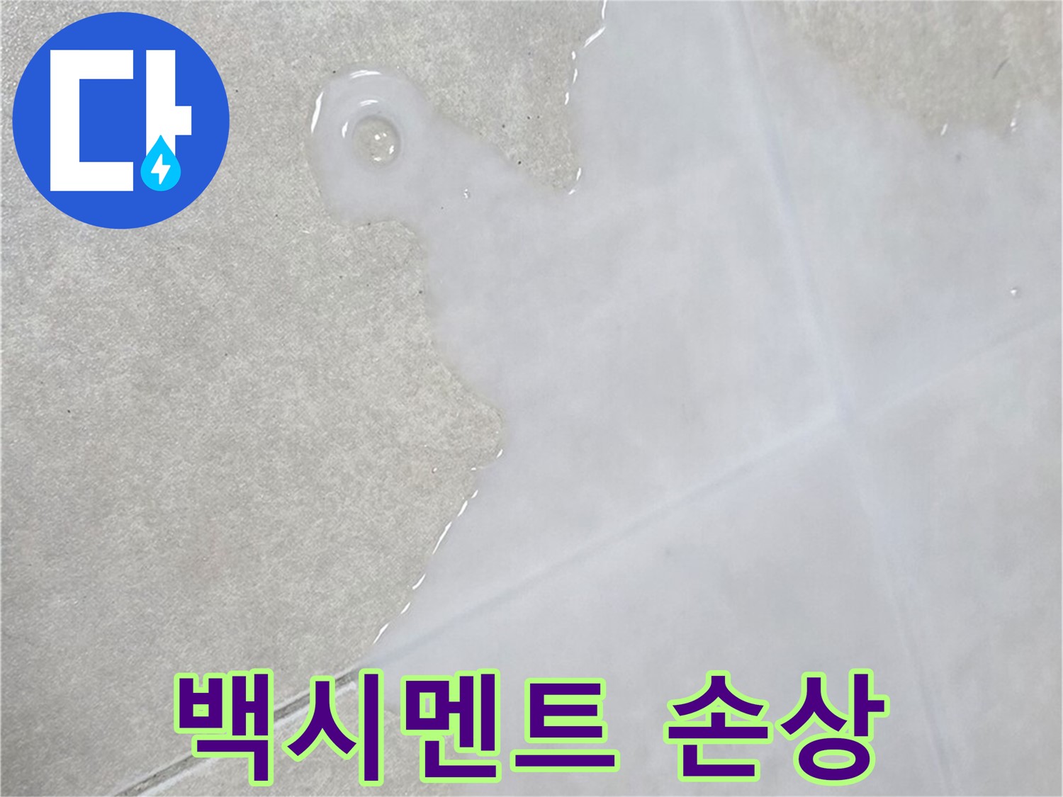 양주 옥정동 율정마을 아파트 타일 틈새 백시멘트 손상 - 누수 원인 분석 및 해결 전문