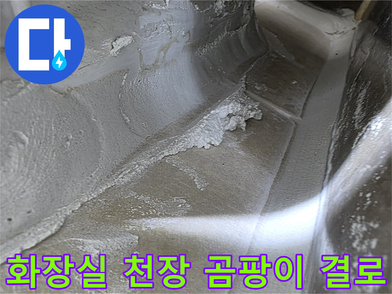 양주 옥정동 율정마을 화장실 천장 곰팡이 누수 - 결로 현상 해결로 곰팡이와 누수를 동시에 잡습니다.