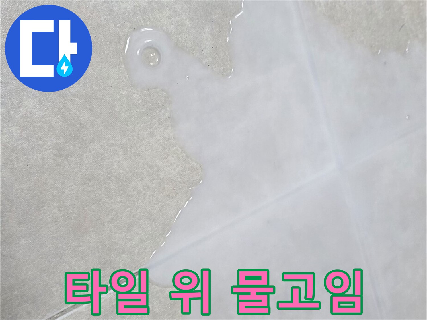 양주 옥정동 율정마을13단지 아파트 타일 위 물 고임 - 긴급 누수 점검 필요
