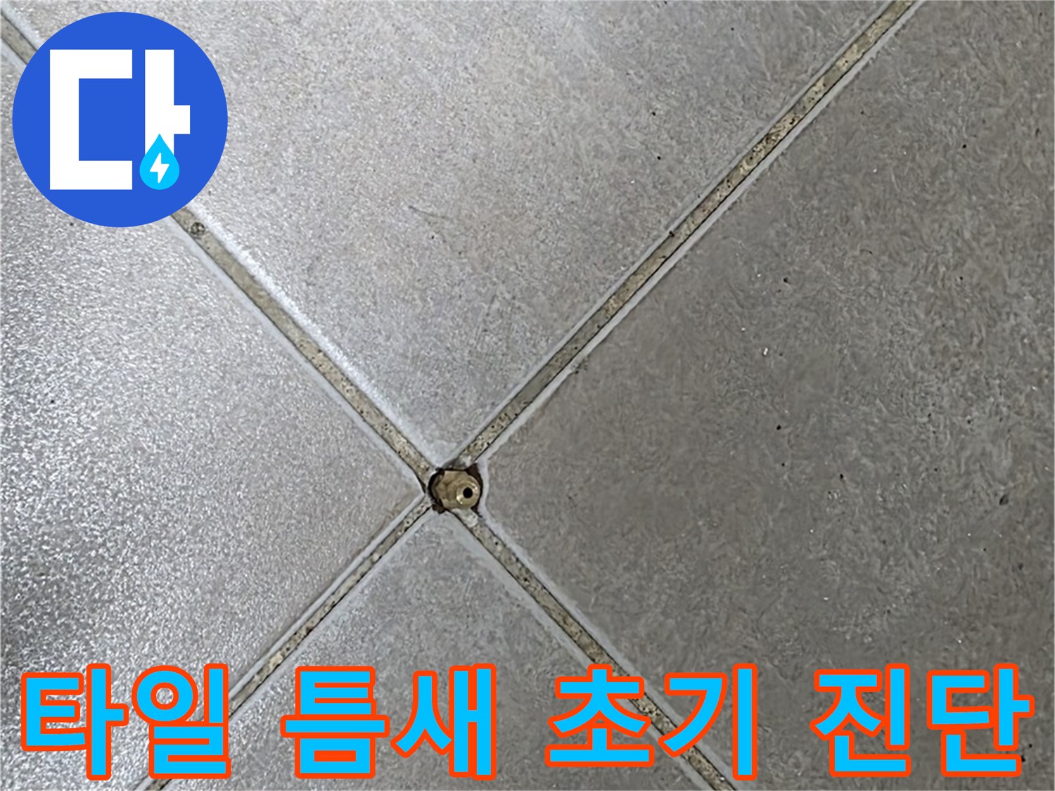 양주시 옥정동 율정마을 13단지 아파트 타일 틈새 오염 - 전문가의 초기 진단 모습입니다.