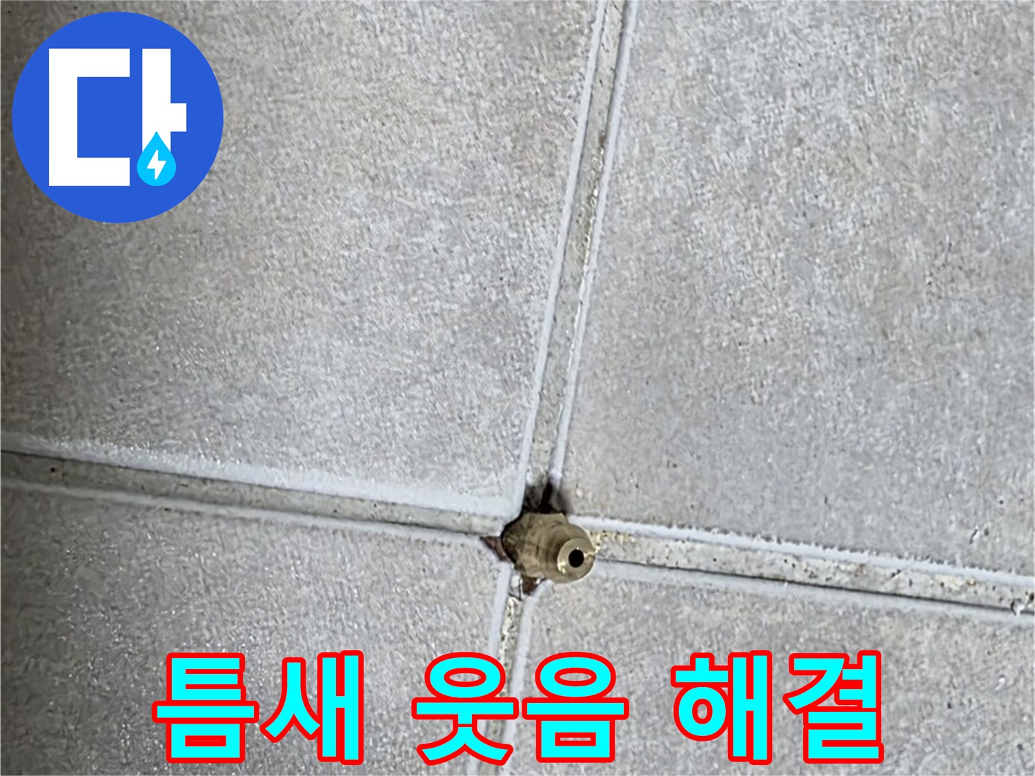 옥정 율정마을 아파트 누수 - 타일 틈새 누수 해결, 고객님의 얼굴에 웃음꽃이 활짝 피었습니다!