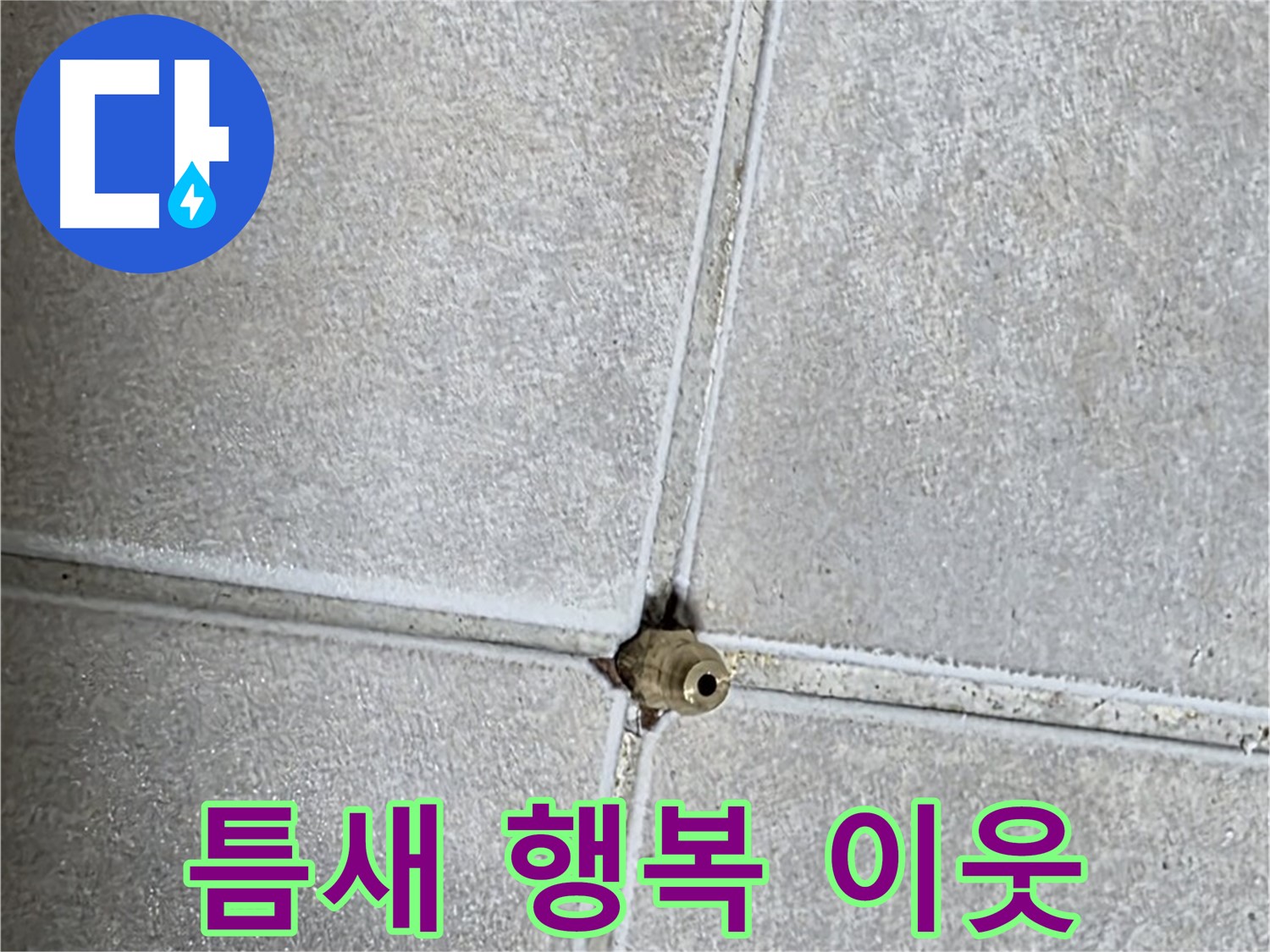 옥정 율정마을 아파트 누수 - 타일 틈새 누수 해결, 이웃사촌과 함께 웃는 행복한 우리 집을 만들어 드립니다!