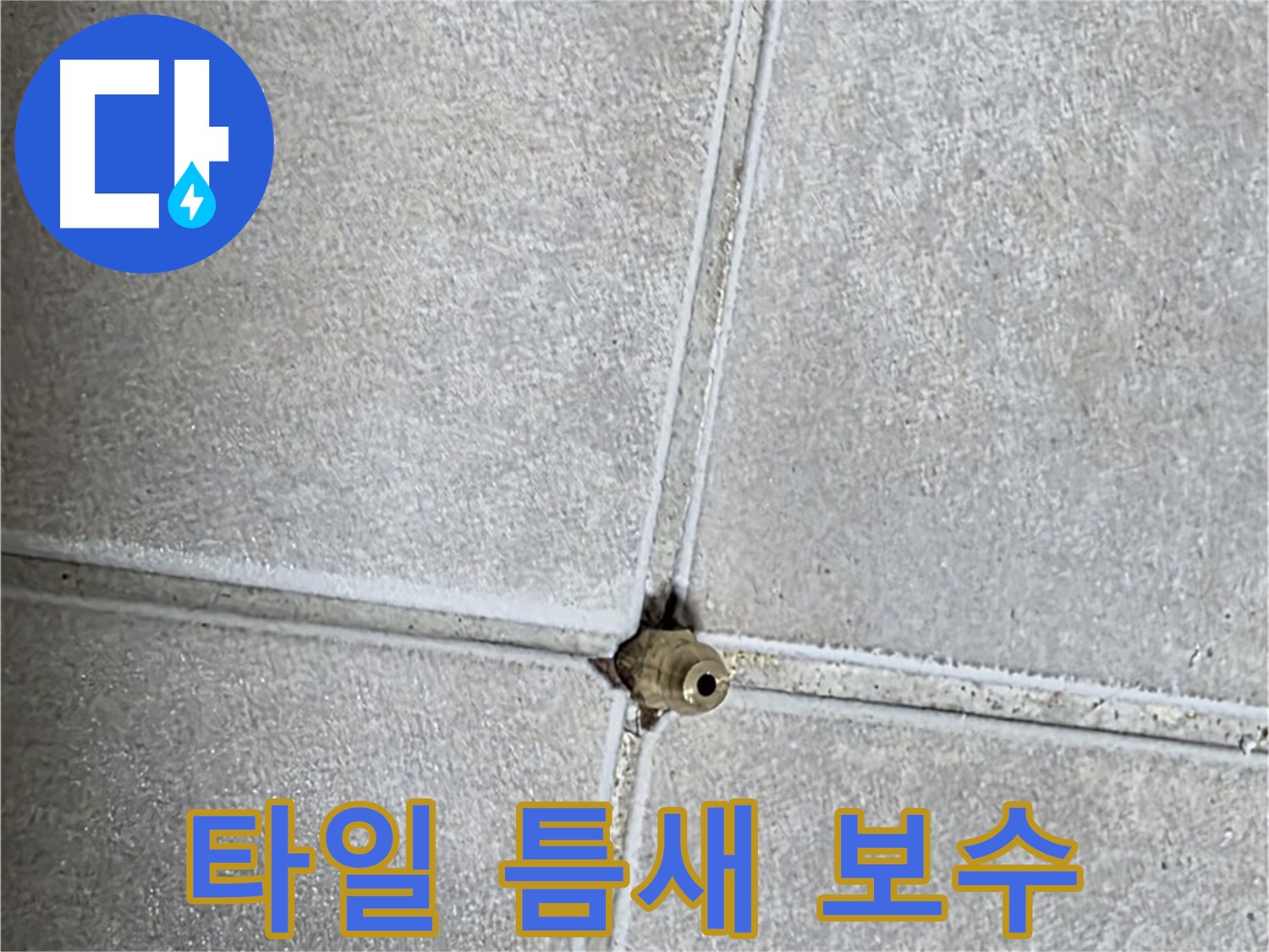 옥정 율정마을 아파트 타일 틈새 누수 - 문제의 타일 틈새를 완벽하게 보수하여 누수를 해결했습니다.