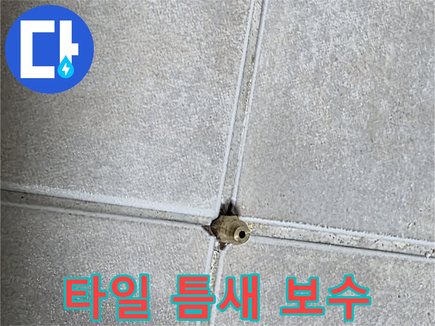 옥정 율정마을 아파트 타일 틈새 누수 - 문제의 타일 틈새를 완벽하게 보수하여 누수를 해결했습니다.