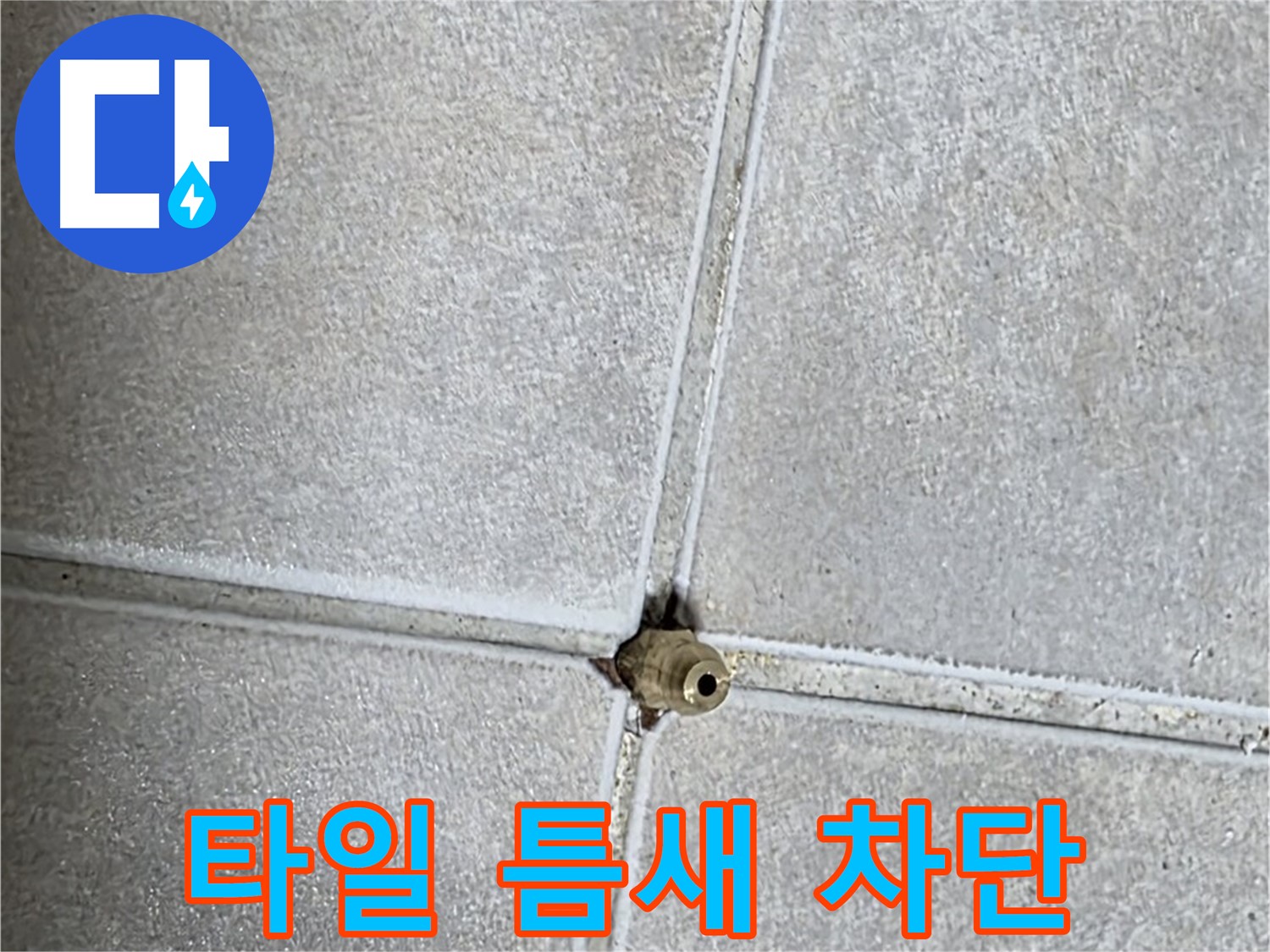 옥정 율정마을 아파트 타일 틈새 누수 - 완벽하게 차단하여 누수 걱정 없이 편안하게 생활하세요.