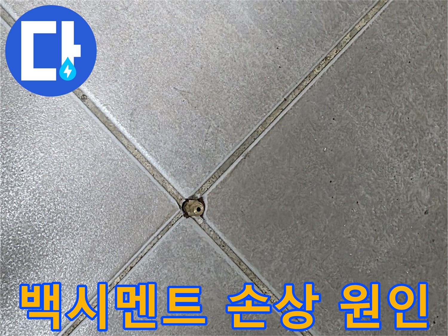 옥정 율정마을 아파트 타일 틈새 백시멘트 손상 - 누수 원인을 찾고 있습니다.