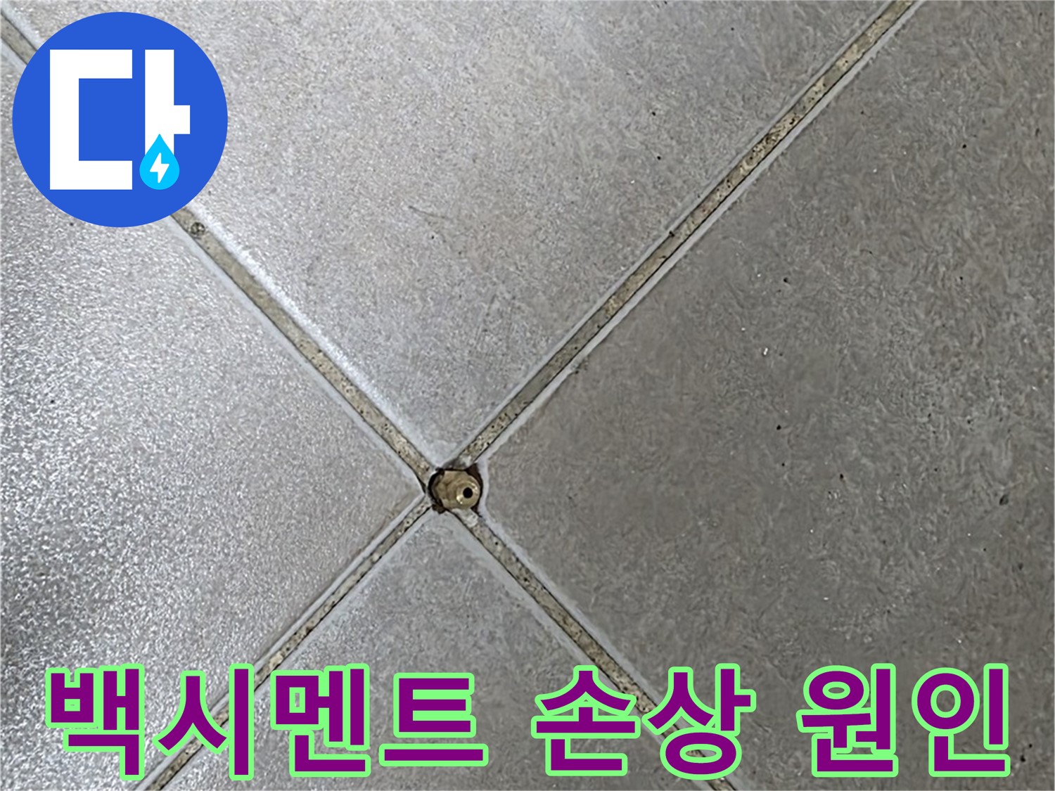 옥정 율정마을 아파트 타일 틈새 백시멘트 손상 - 누수 원인을 찾고 있습니다.