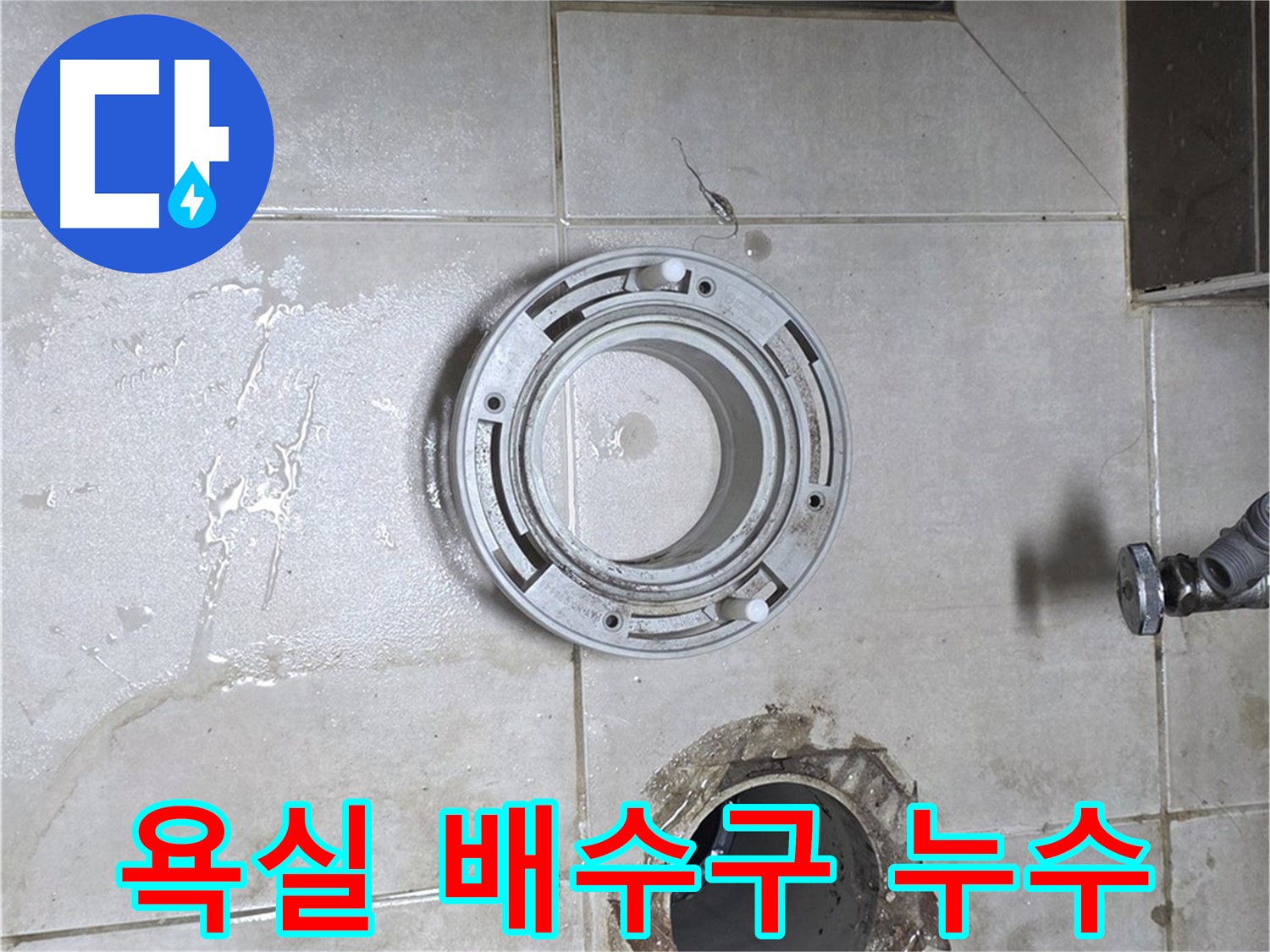 옥정동 율정마을 아파트 욕실 배수구 누수 - 정확한 원인 진단과 완벽한 해결
