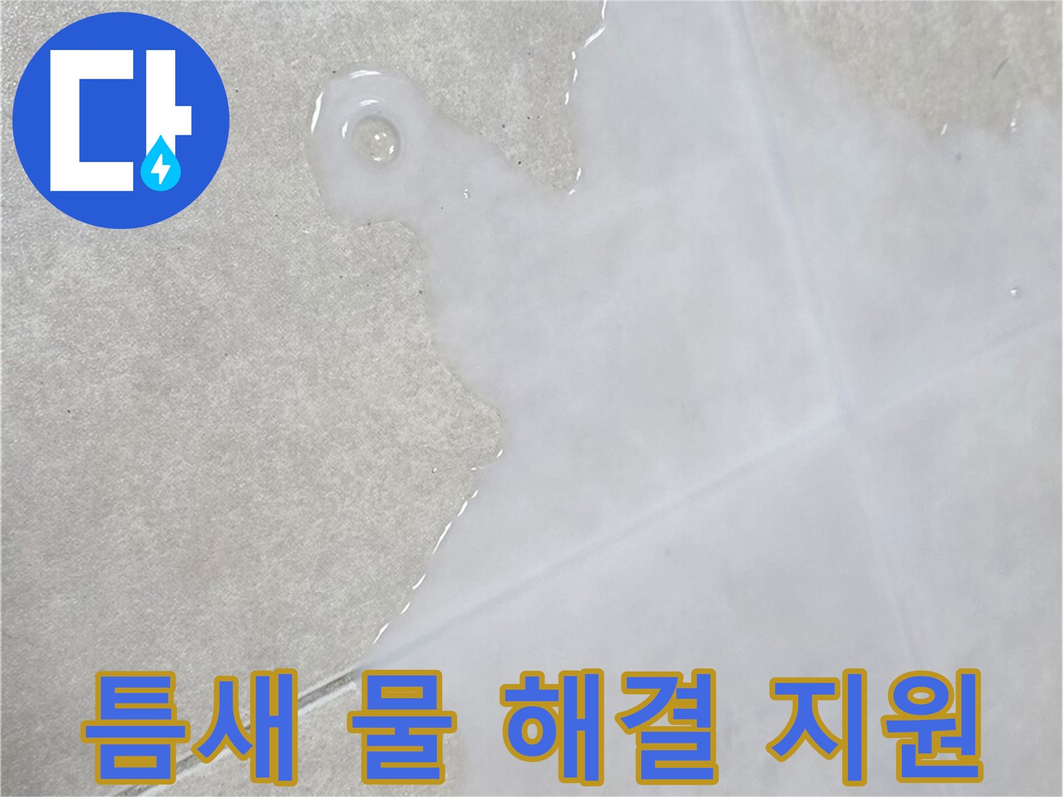 옥정동 율정마을 아파트 타일 틈새 물 - 신속한 누수 해결 지원