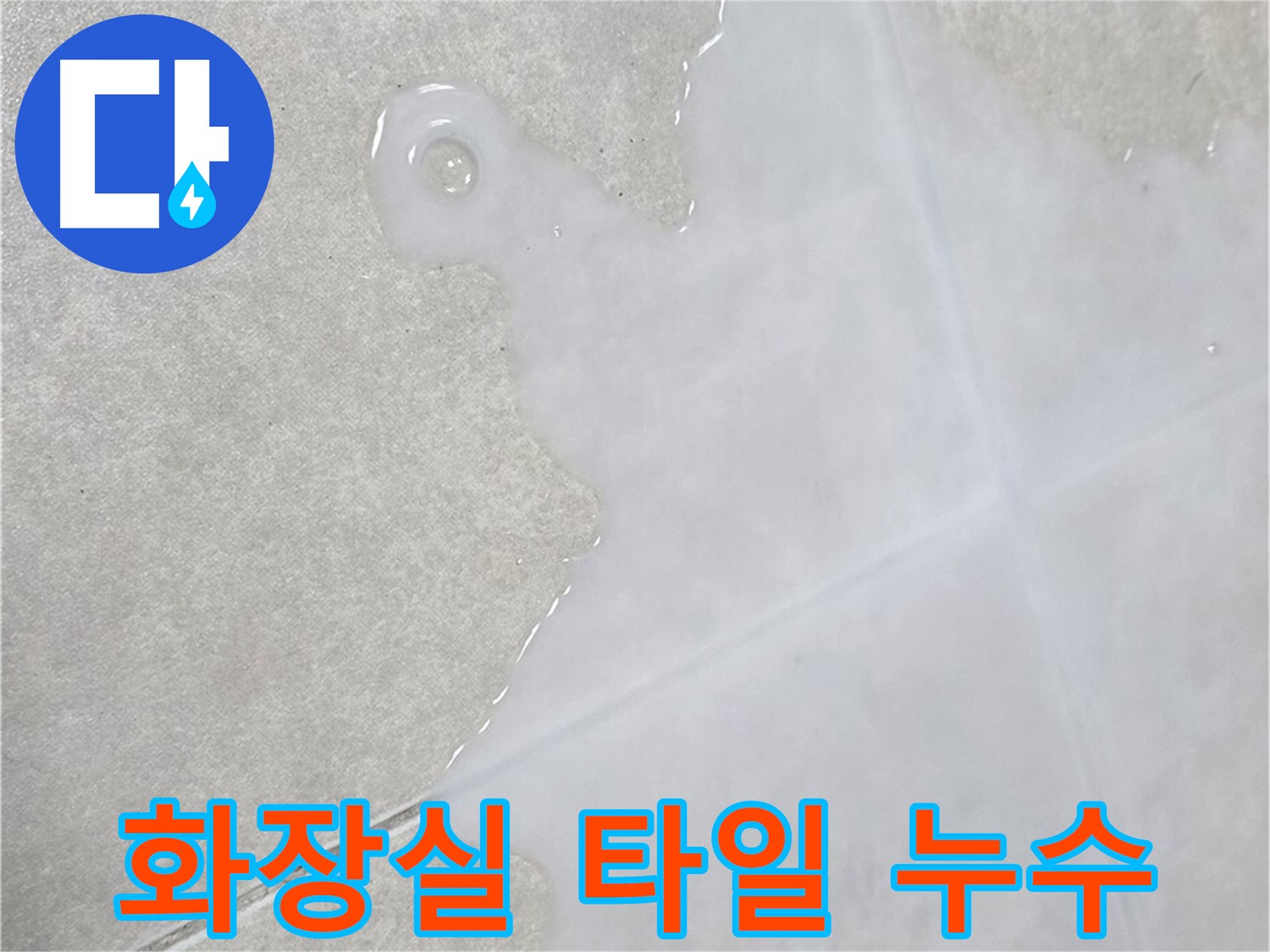 옥정동 율정마을 아파트 화장실 타일 누수 발생 - 전문 장비로 누수 지점 정확히 탐지