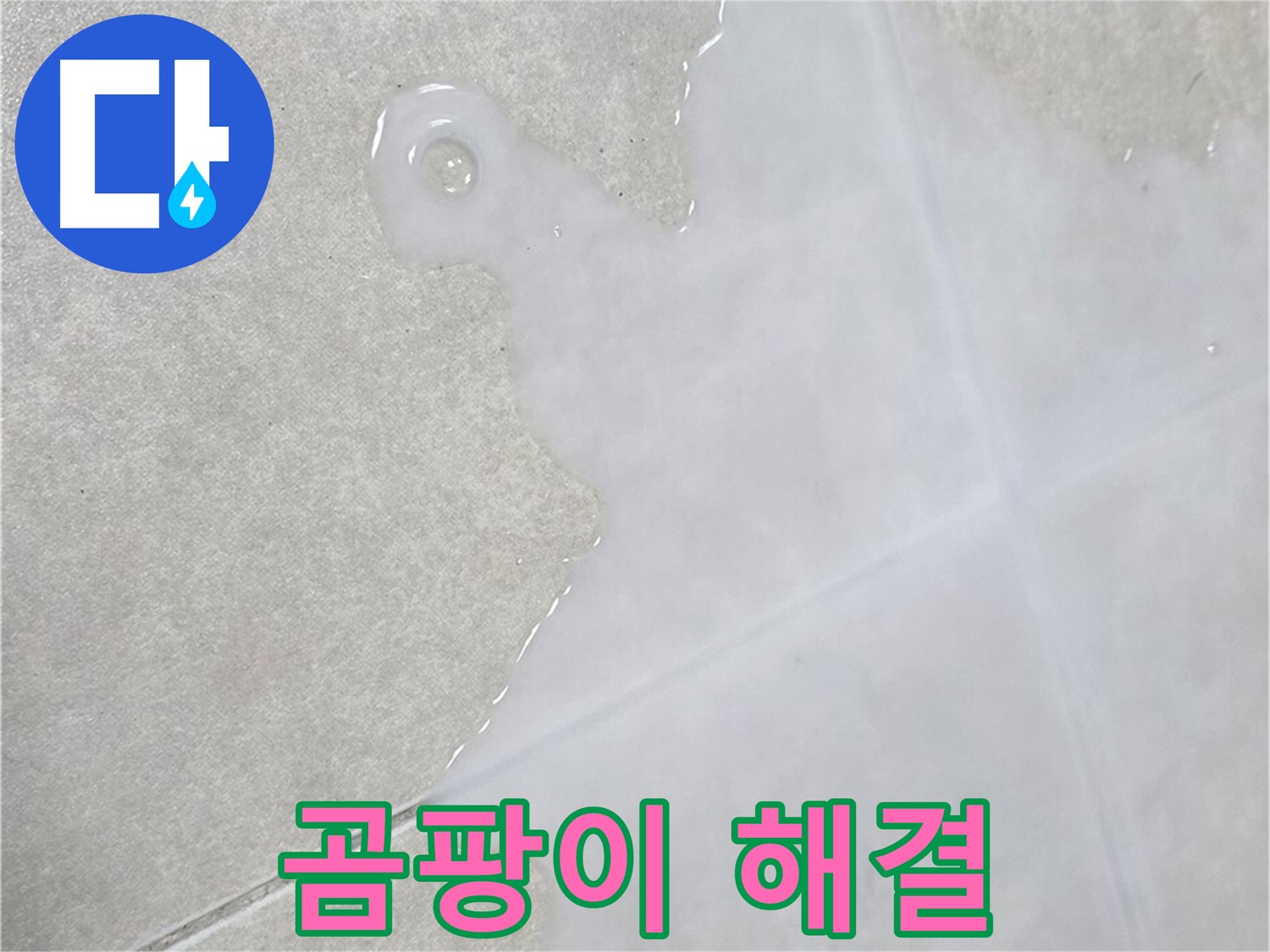옥정신도시 율정마을 아파트 타일 위 백시멘트 곰팡이 - 누수 전문가가 해결