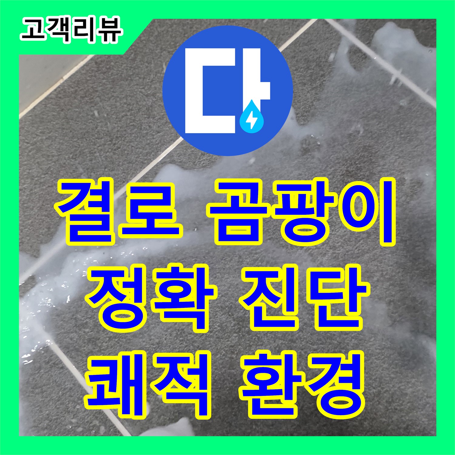 누수전문 - 결로와 곰팡이, 정확한 진단으로 쾌적한 환경 만들기 (파주)