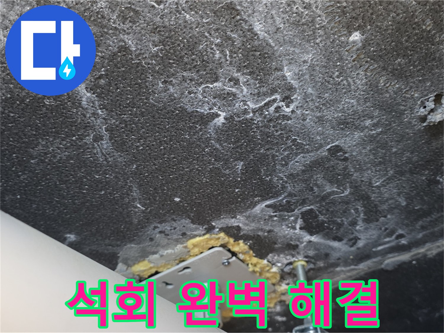 동패동 아파트 천장 누수 석회 - 누수 문제 완벽 해결 완료