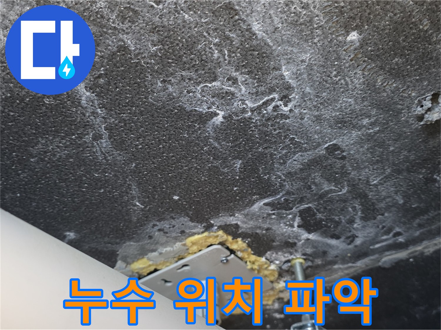 동패동 아파트 천장 누수 - 정확한 누수 위치 파악