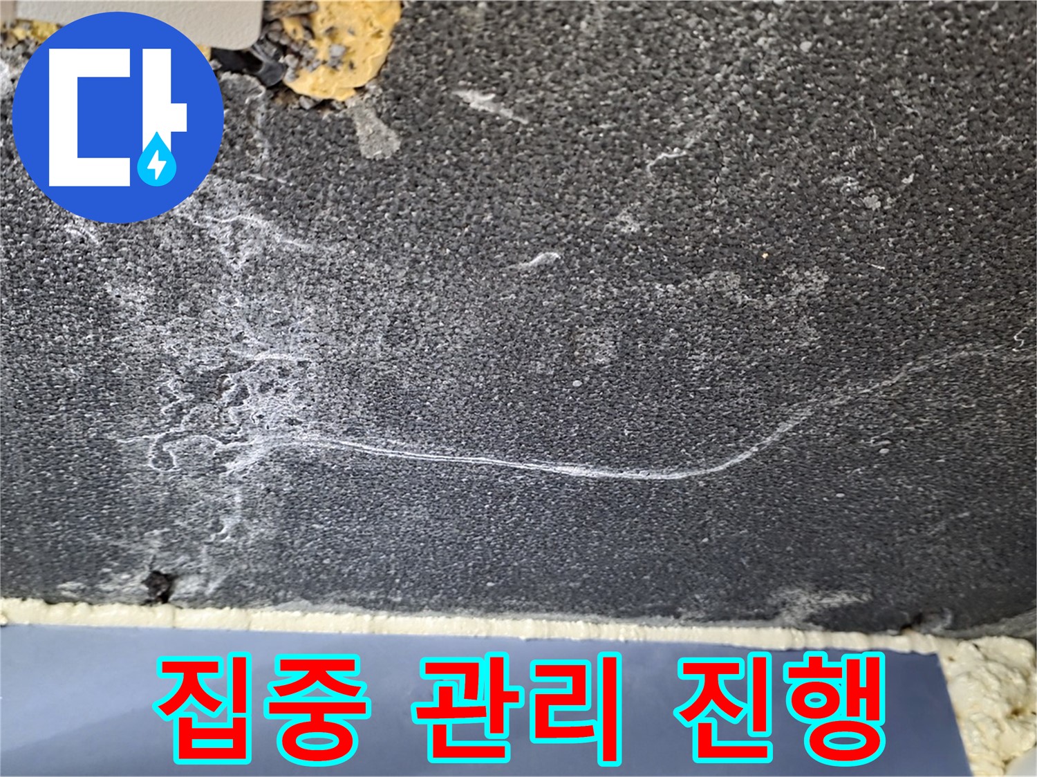 동패동 천장 누수 - 운정어반프라임 물 얼룩 발생 부위 집중 관리