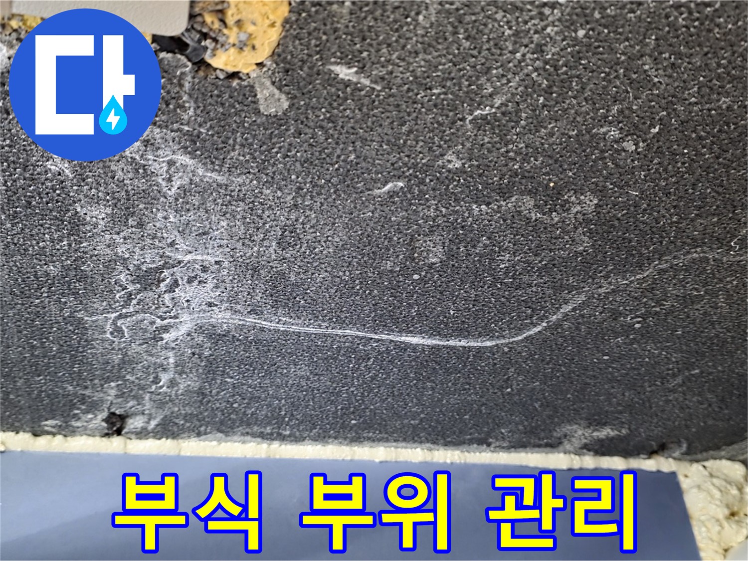 동패동 천장 누수 - 운정어반프라임 배관 부식 부위 집중 관리