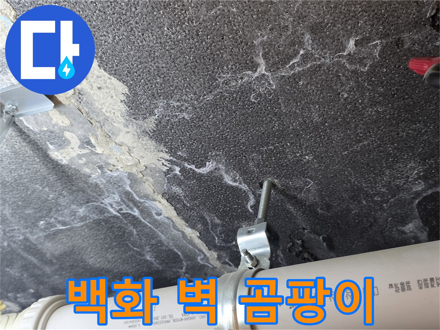 배관 백화 - 벽 곰팡이 - 배관 연결 부위의 백화 현상과 주변 벽 곰팡이 발생을 확인합니다.